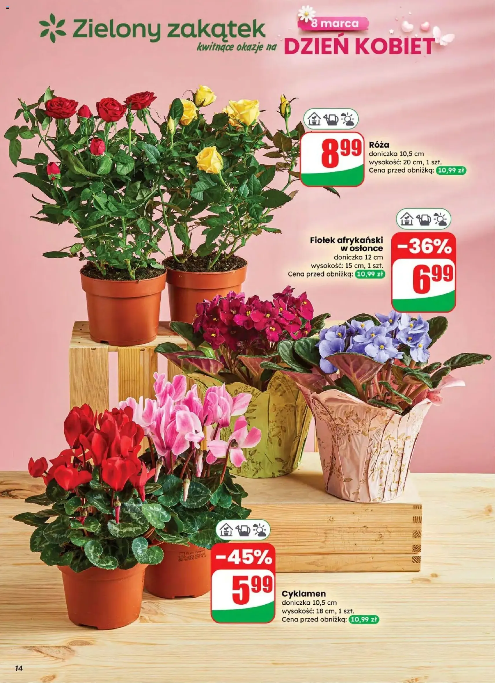 Dino gazetka - ważny gazetka od 04.03.2026 strona 14 z 82