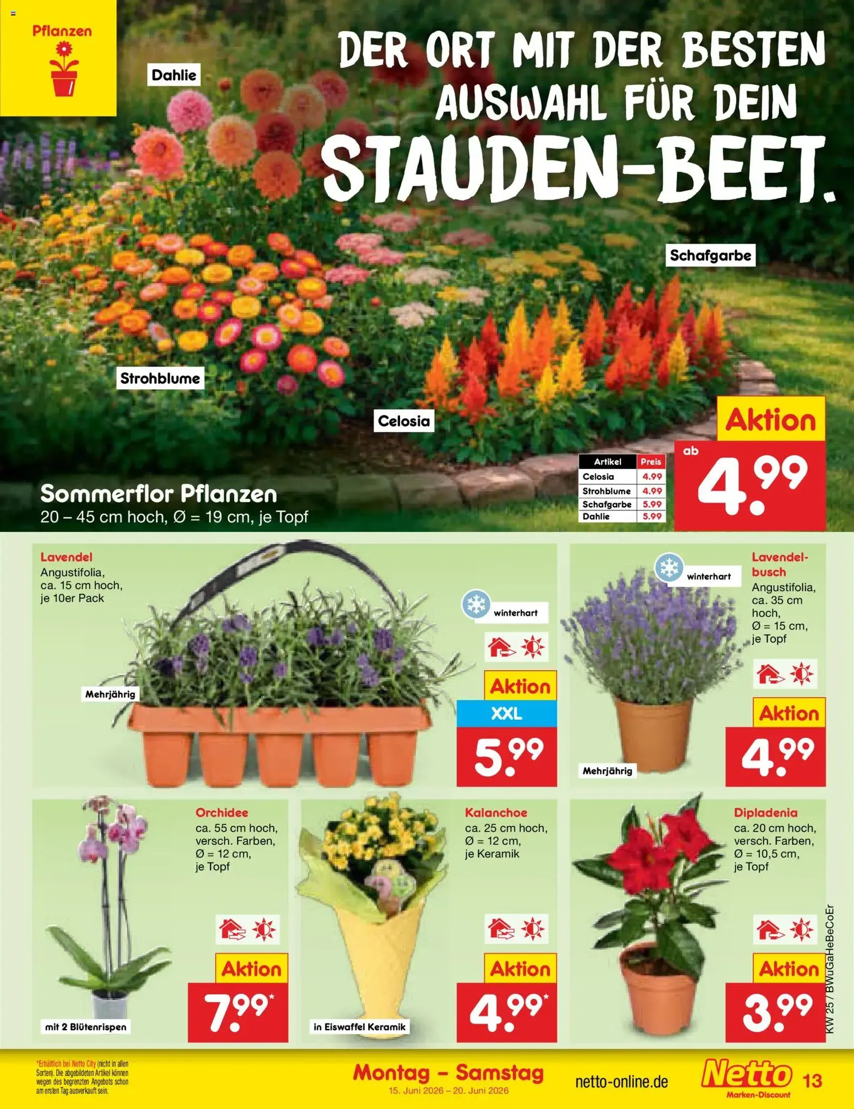 Netto Marken-Discount Prospekt - Gültiger Prospekt ab 15.06.2026, Seite 17 von insgesamt 64