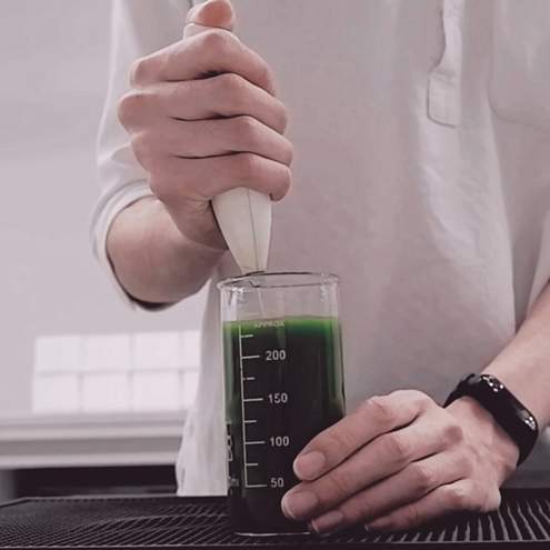 Tè matcha - procedimento 1