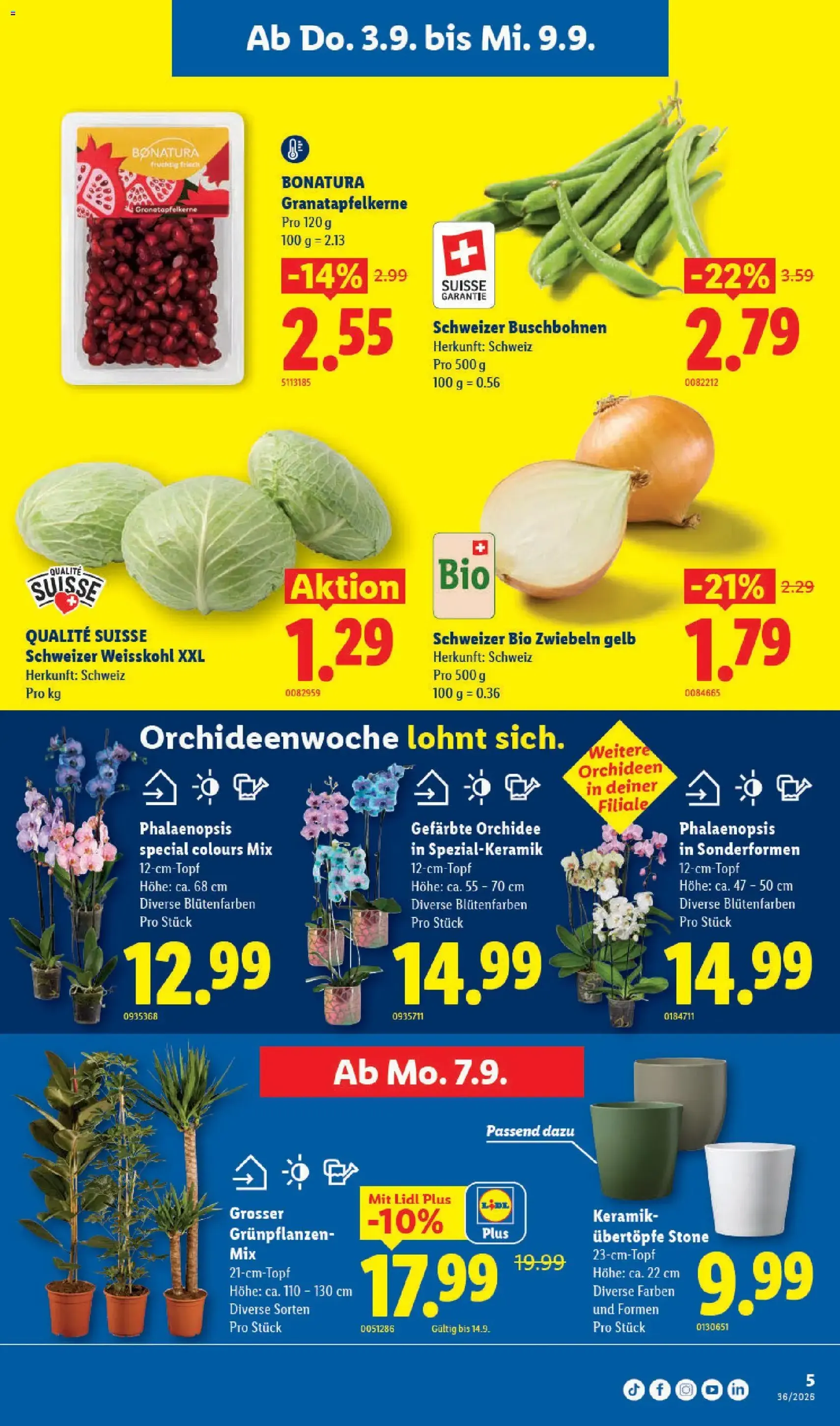 Lidl aktionen - Gültiger Prospekt ab 03.09.2026, Seite 9 von insgesamt 41