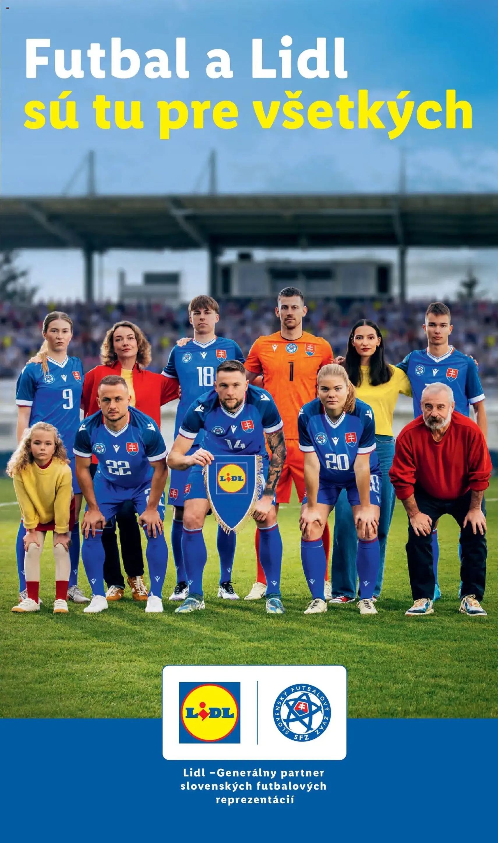 Lidl leták - platný leták od 15.06.2026 strana 58 z 101