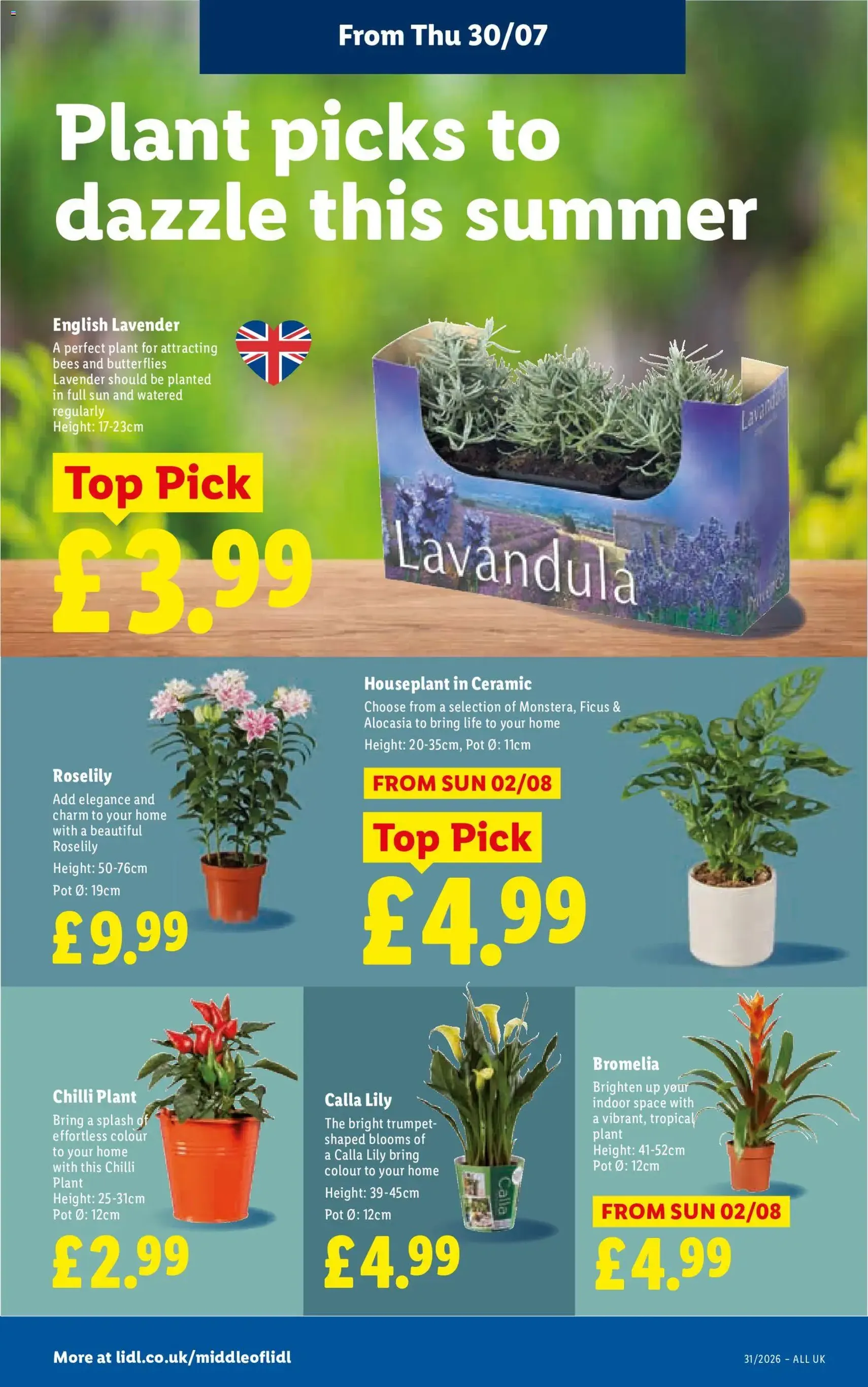 Weekly offers Lidl - valid flyer from 30/07/2026, page 26 of 28