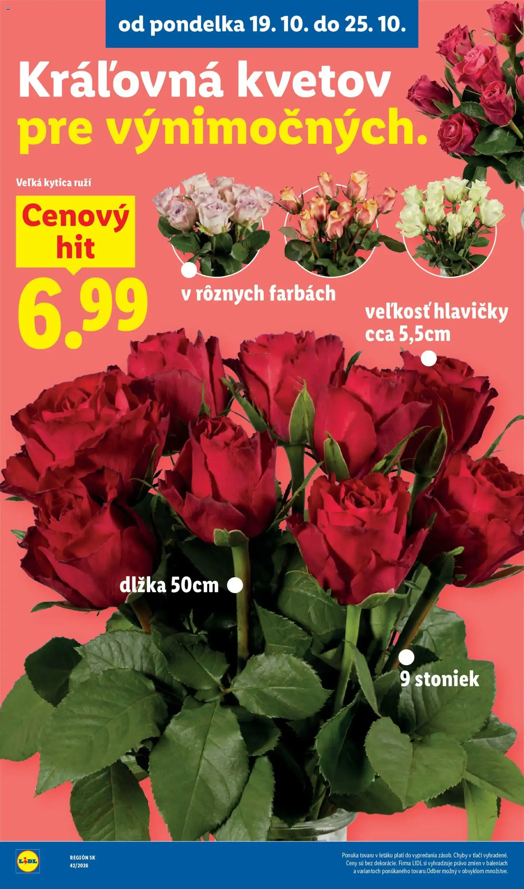 Lidl leták - platný leták od 19.10.2026 strana 50 z 120
