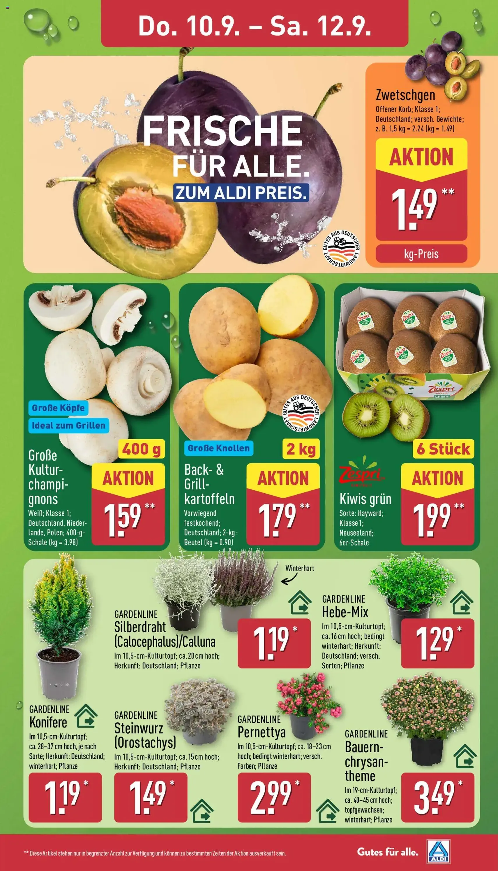Aldi Prospekt - Gültiger Prospekt ab 07.09.2026, Seite 27 von insgesamt 40