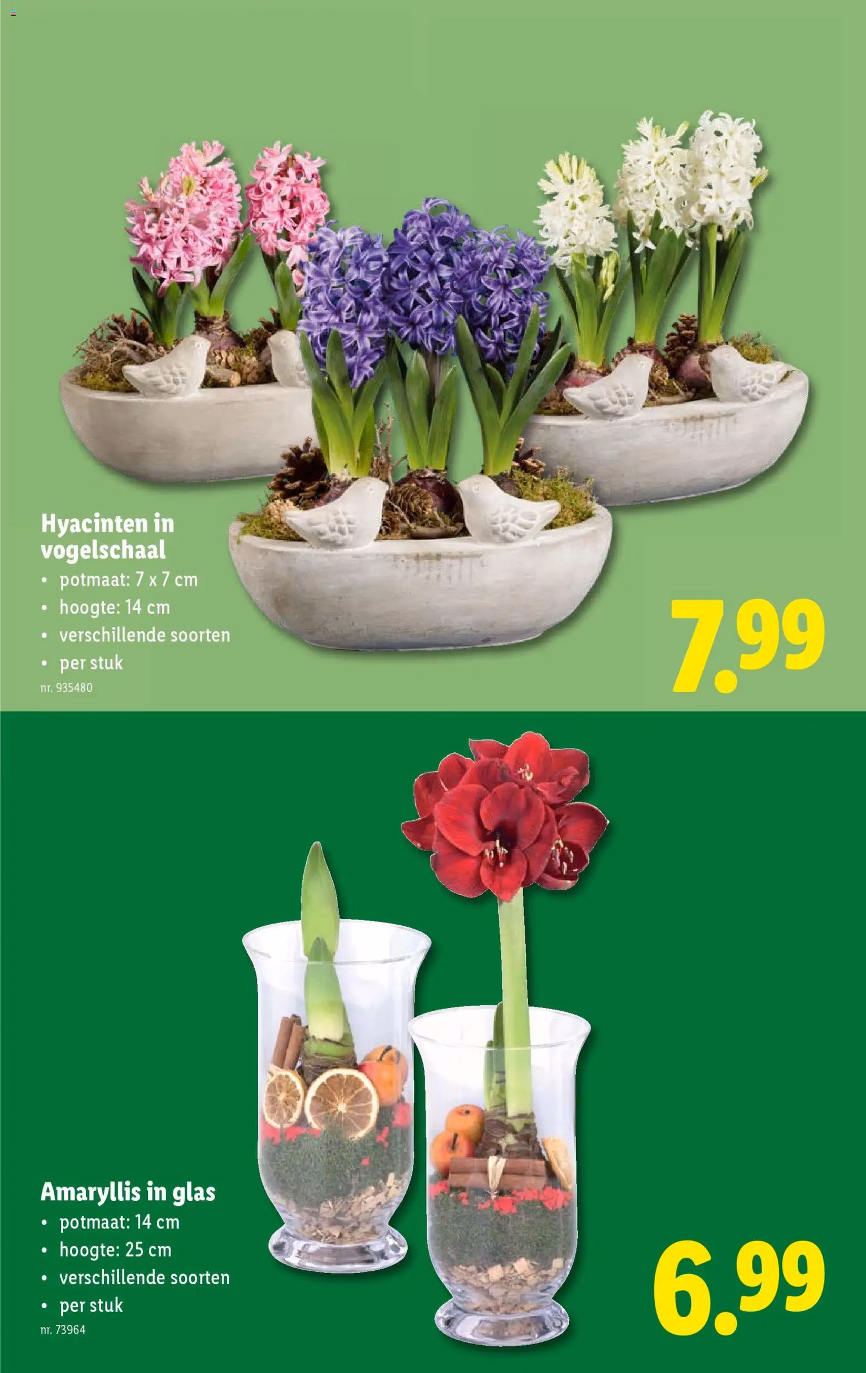 Lidl Folder week 47 - geldige folder vanaf 19/11/2025 pagina 62 van 62