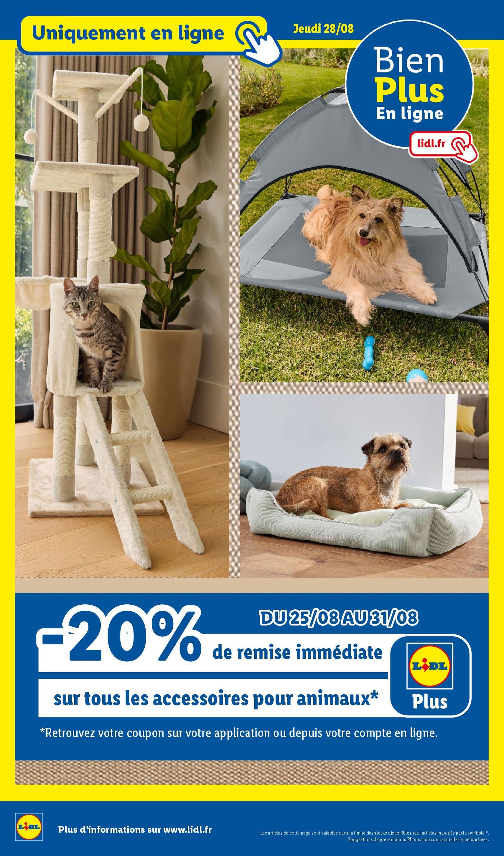 LIDL catalogue semaine 35 - brochure valable à partir du 28/08/2025, page 33 sur 73 LIDL catalogue semaine 35 - brochure valable à partir du 28/08/2025, page 33 sur 73