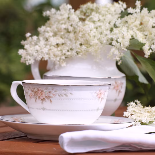 Voorvertoning van recept Thee van vlierbloesem
