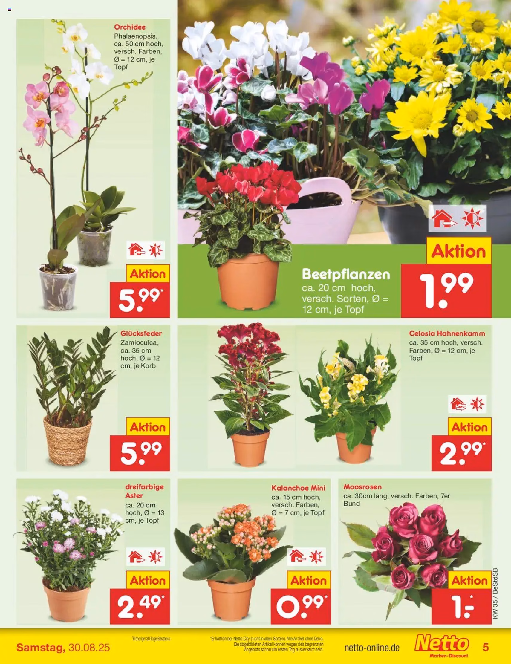 Netto Marken-Discount Prospekt - Gültiger Prospekt ab 25.08.2025, Seite 5 von insgesamt 65