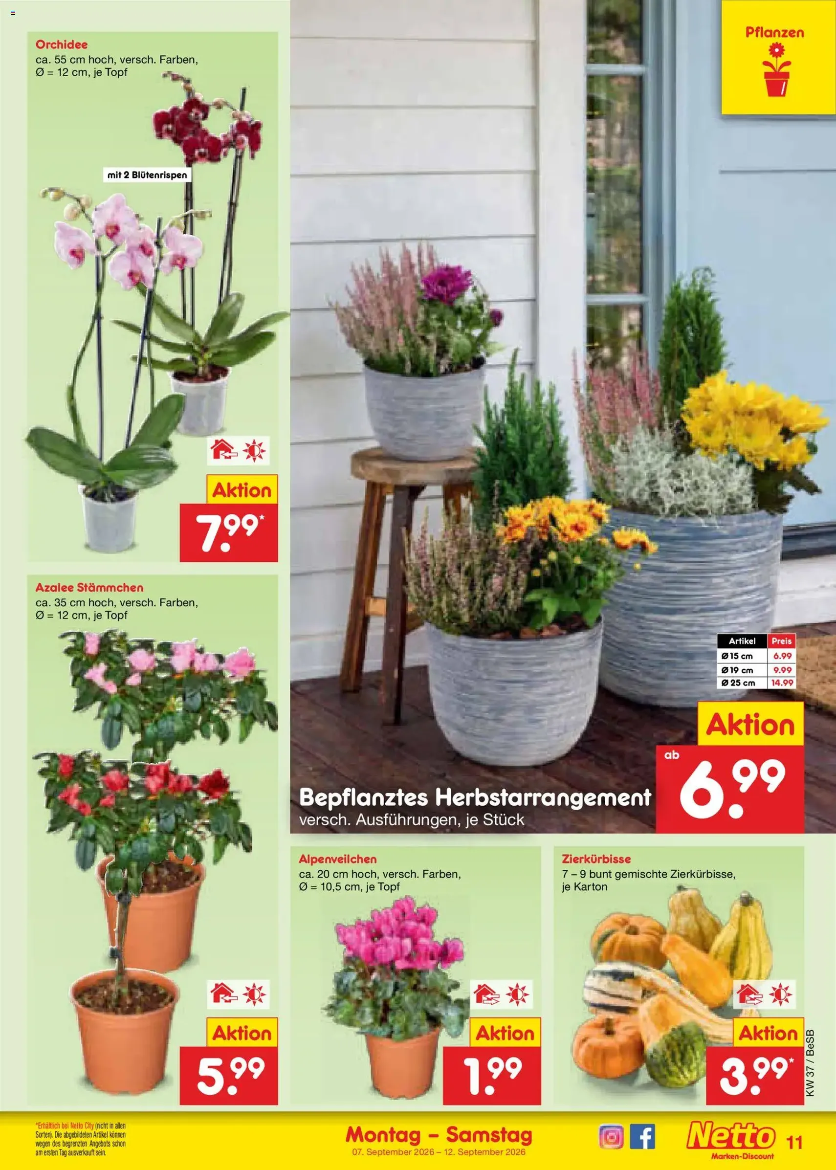 Netto Marken-Discount Prospekt - Gültiger Prospekt ab 07.09.2026, Seite 17 von insgesamt 71