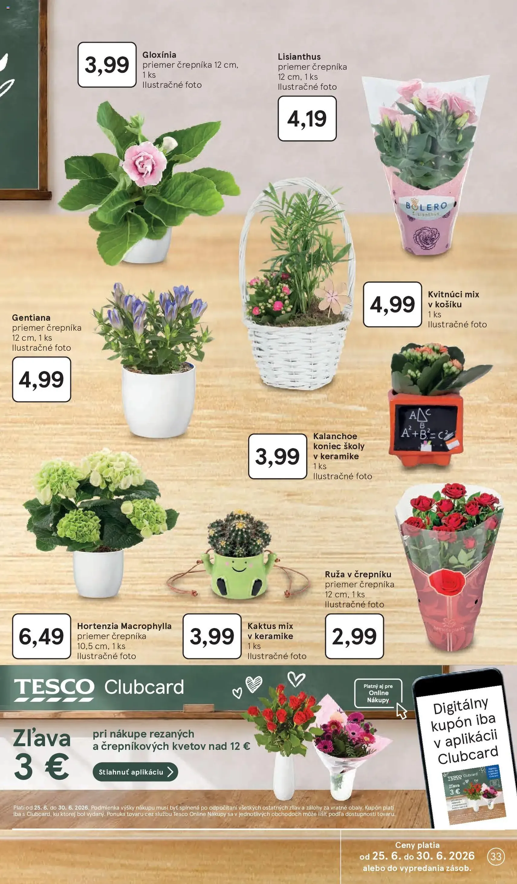 Tesco Hypermarket - leták - platný leták od 24.06.2026 strana 33 z 51