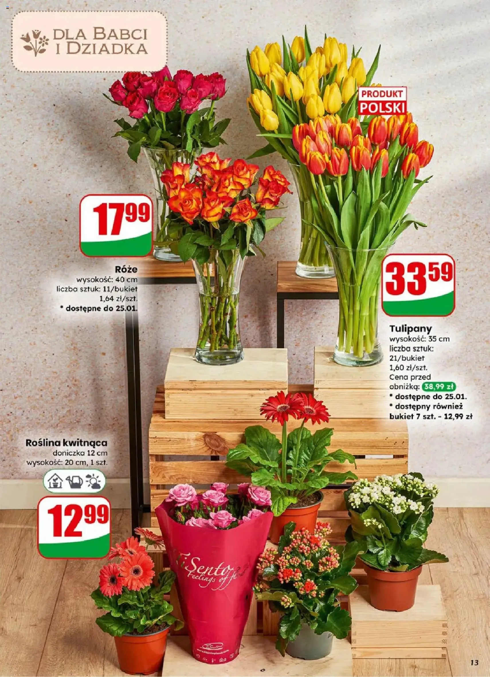 Dino Gazetka - ważny gazetka od 21.01.2026 strona 13 z 66