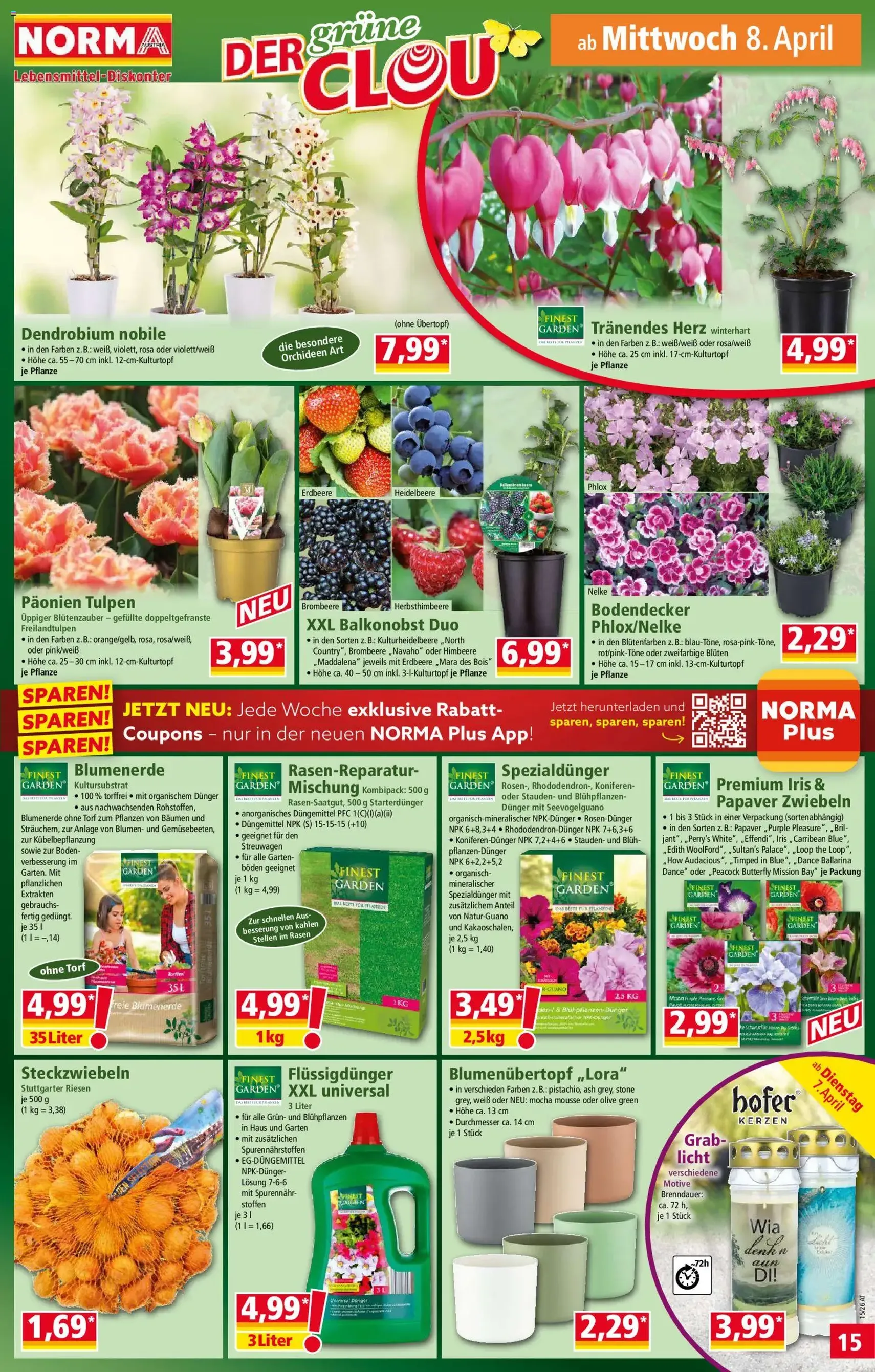 Norma Flugblatt - Gültiger Prospekt ab 07.04.2026, Seite 15 von insgesamt 20