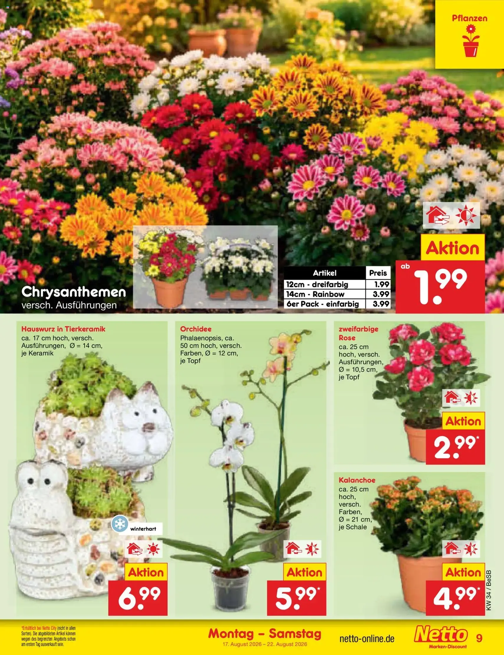Netto Marken-Discount Prospekt - Gültiger Prospekt ab 17.08.2026, Seite 11 von insgesamt 65
