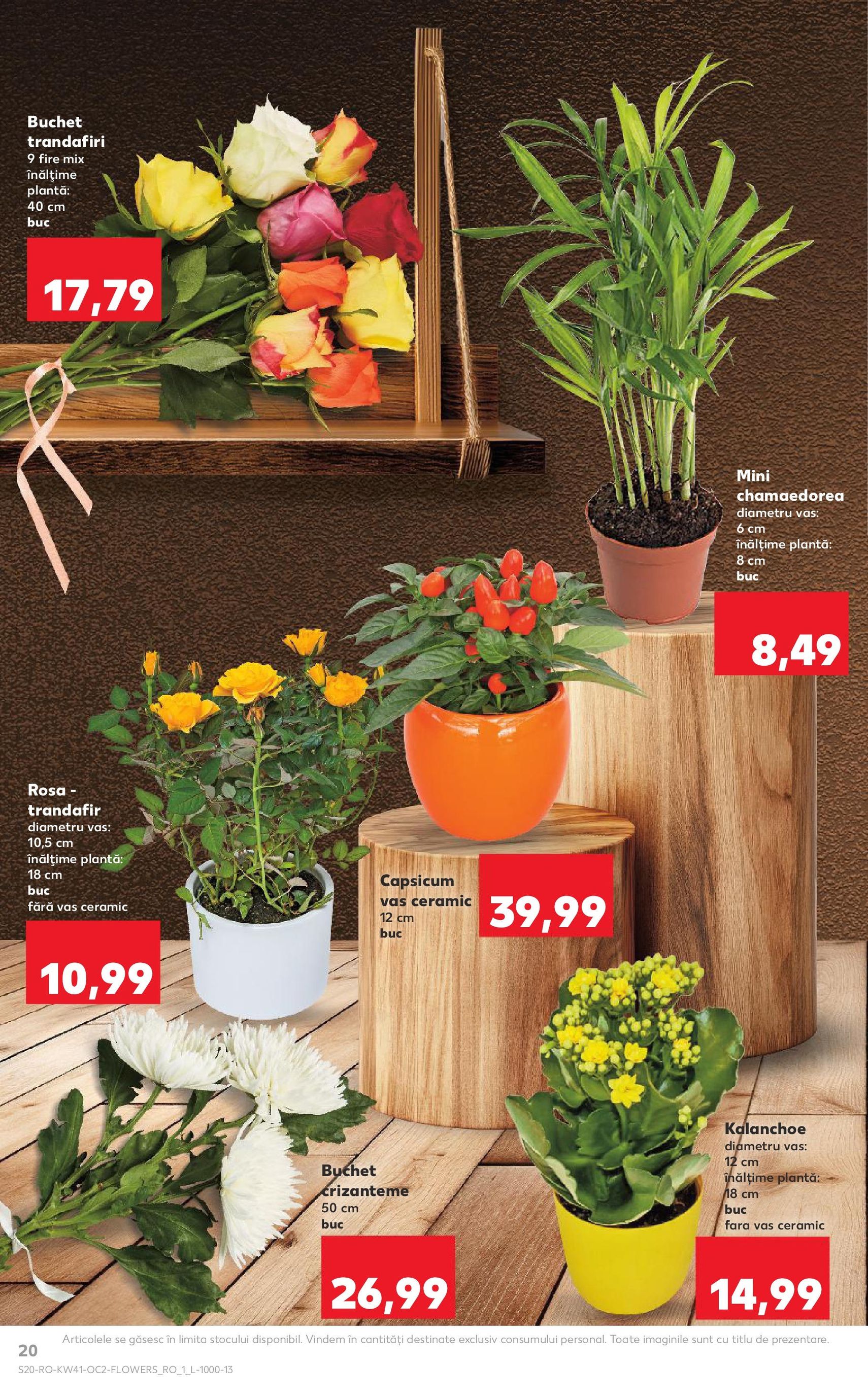 Catalog Kaufland - Bucureşti - cataloage valabile începând cu 08.10.2025 pagina 20 din 68