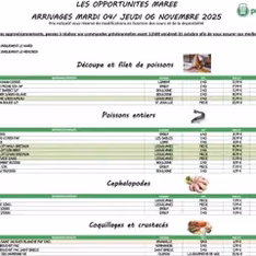 Promocash catalogue - Prévisualisation du catalogue valable à partir du 04/11/2025