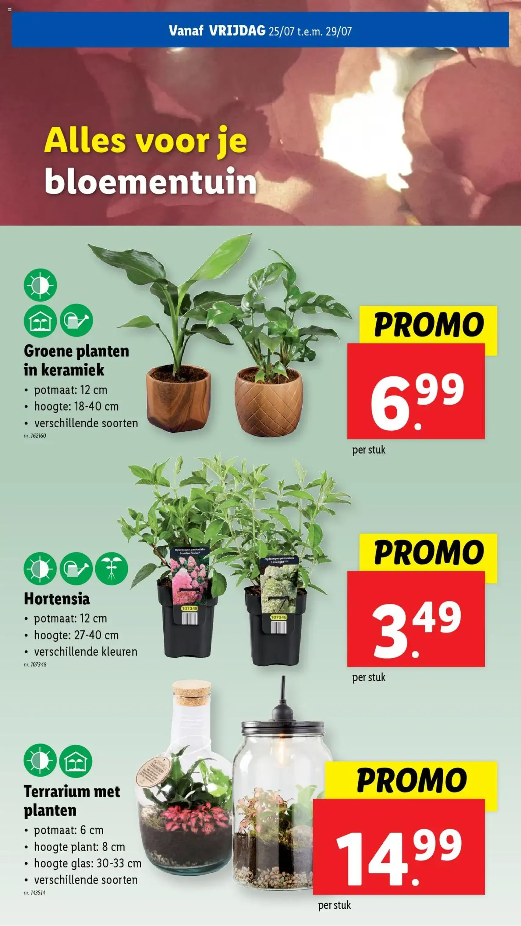 Lidl folder week 30 - geldige folder vanaf 23/07/2025 pagina 43 van 65 Lidl folder week 30 - geldige folder vanaf 23/07/2025 pagina 43 van 65
