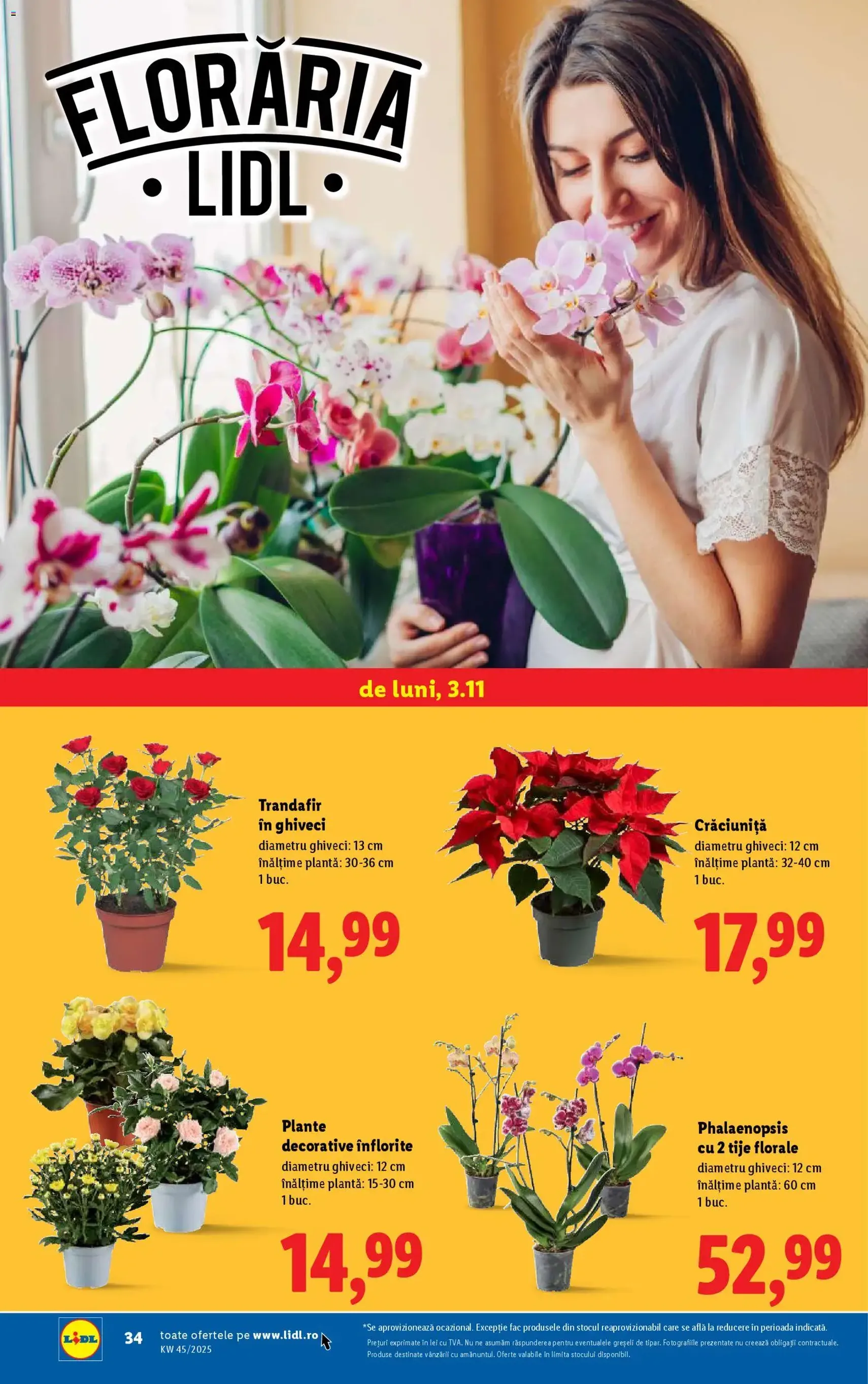 Catalog Lidl - cataloage valabile începând cu 03.11.2025 pagina 34 din 54