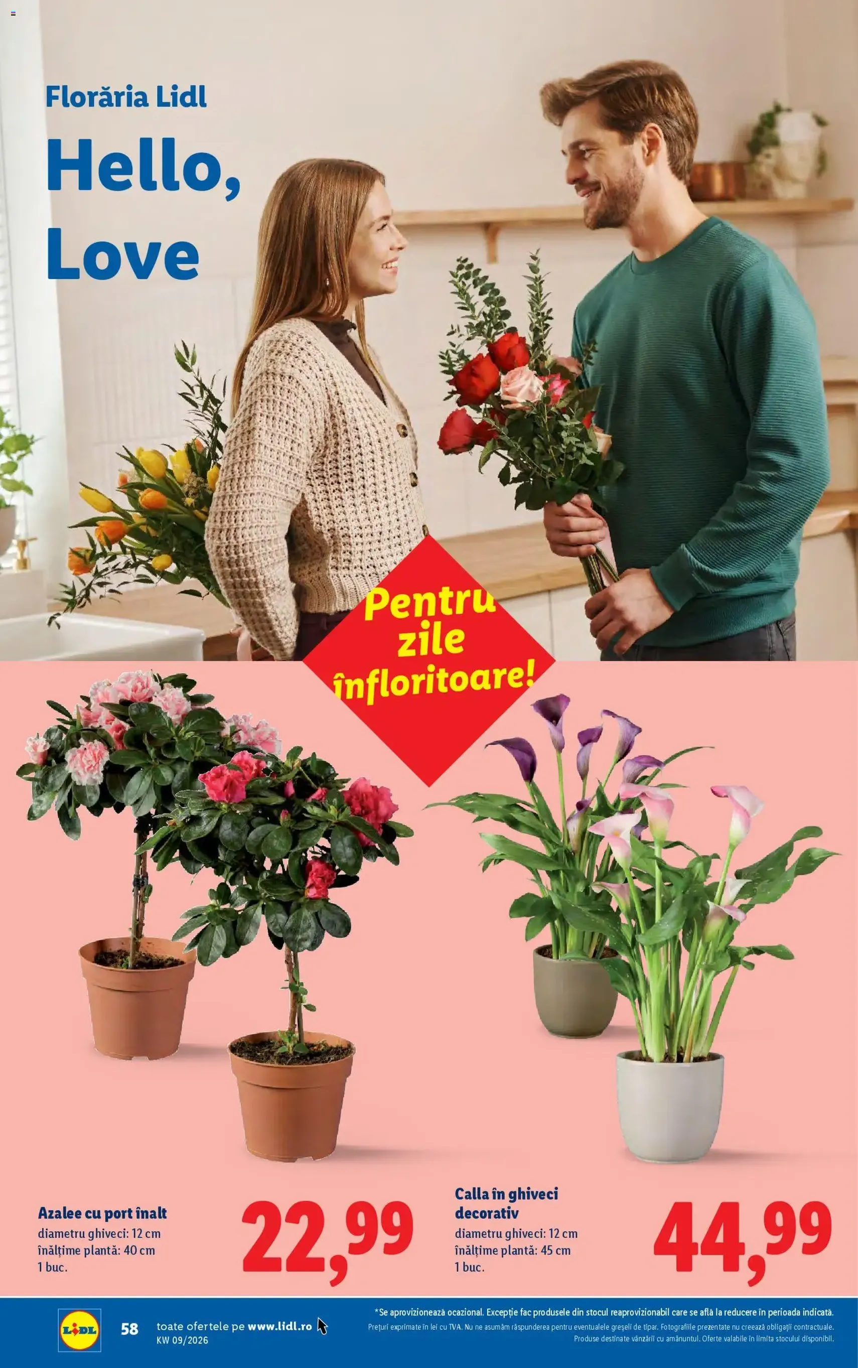 Catalog Lidl - cataloage valabile începând cu 23.02.2026 pagina 58 din 92