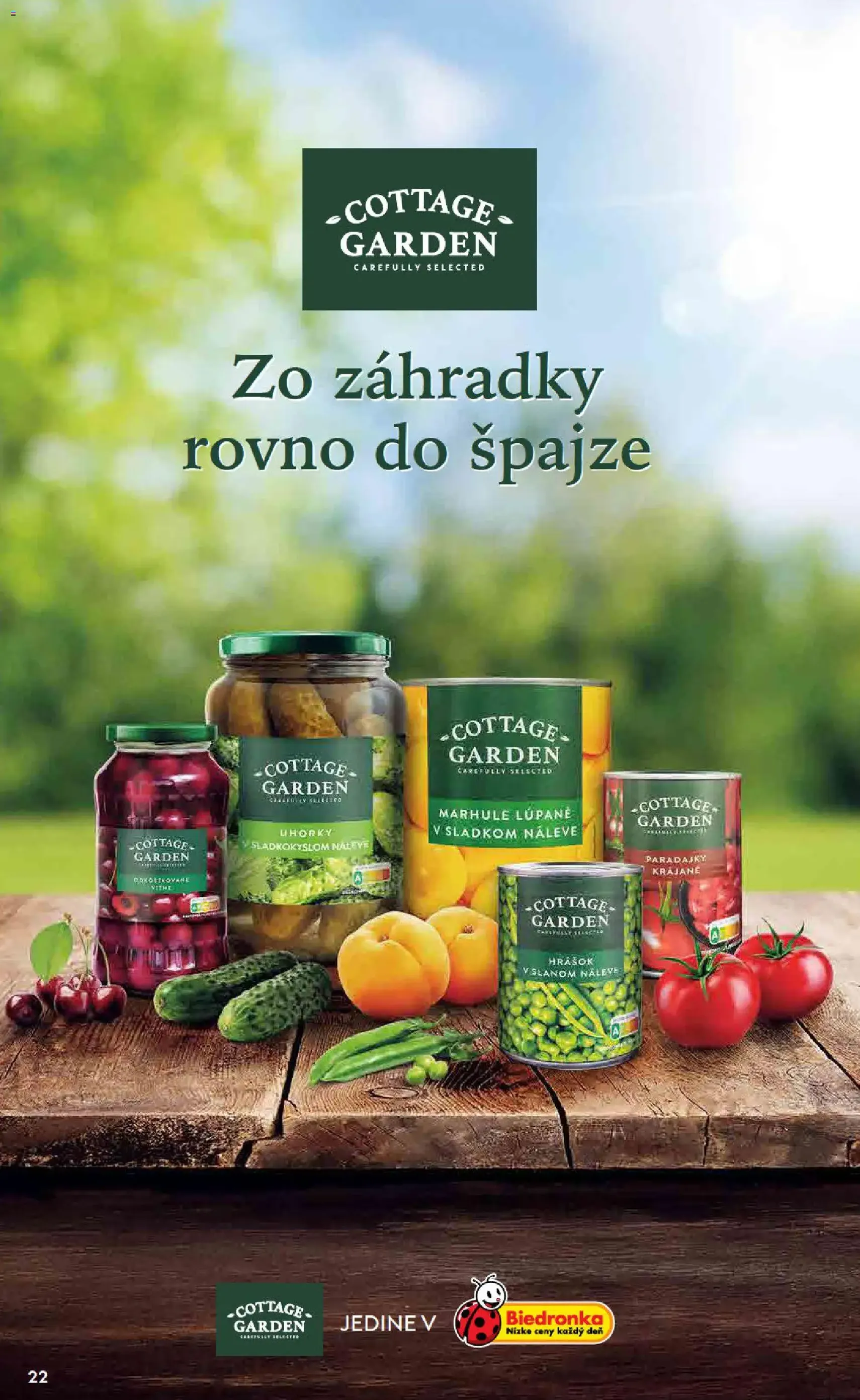 Biedronka leták - platný leták od 23.10.2025 strana 22 z 48 Biedronka leták - platný leták od 23.10.2025 strana 22 z 48