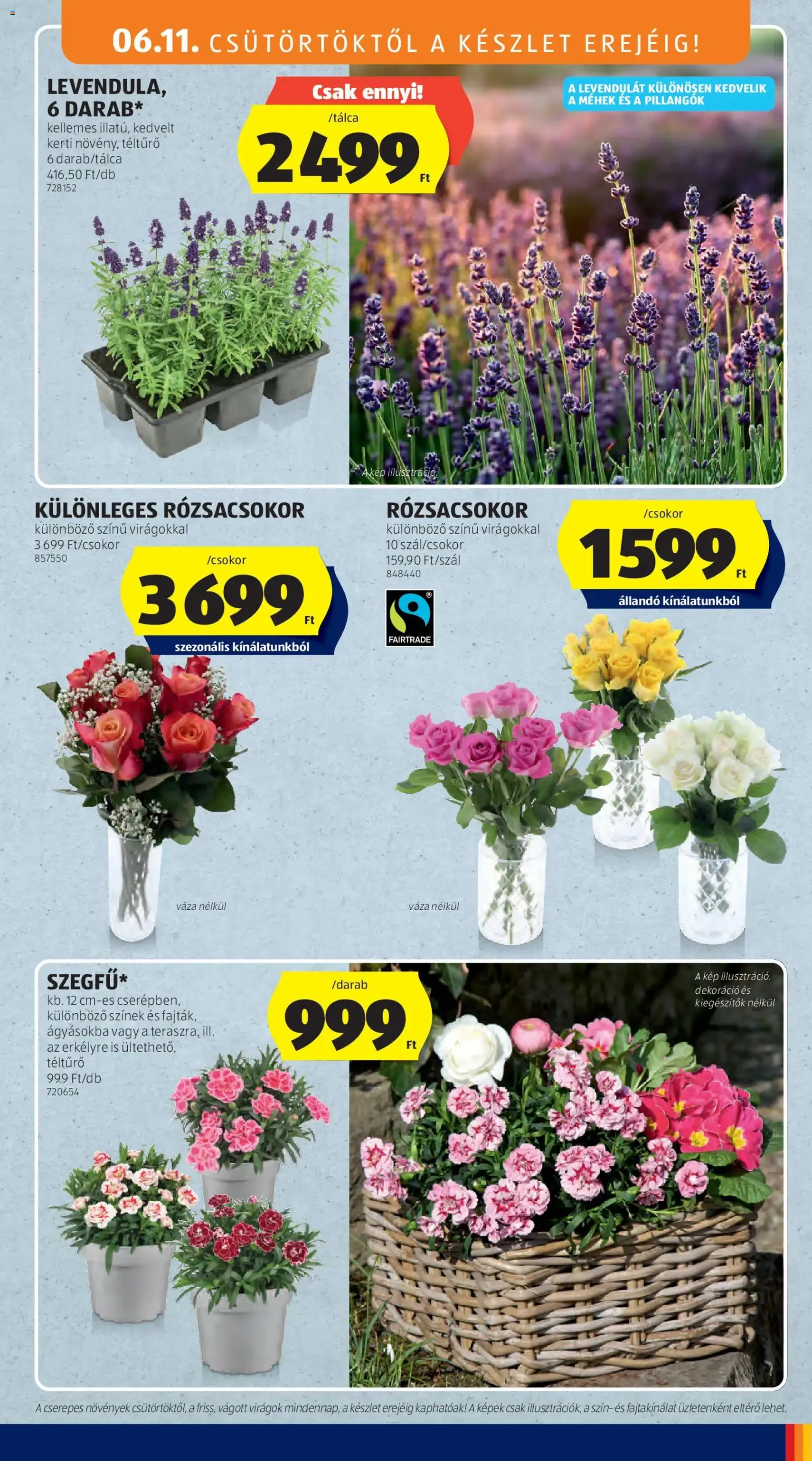 Aldi akciós újság - 2026.06.11. érvényes szórólap 35 oldal 61 oldalból