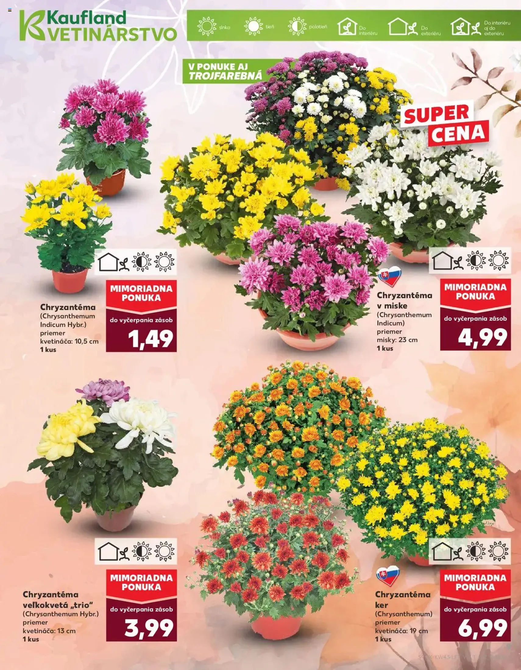 Kaufland SK Bratislava-Devínska Nová Ves - 2025.10.23. érvényes szórólap 9 oldal 76 oldalból Kaufland SK Bratislava-Devínska Nová Ves - 2025.10.23. érvényes szórólap 9 oldal 76 oldalból
