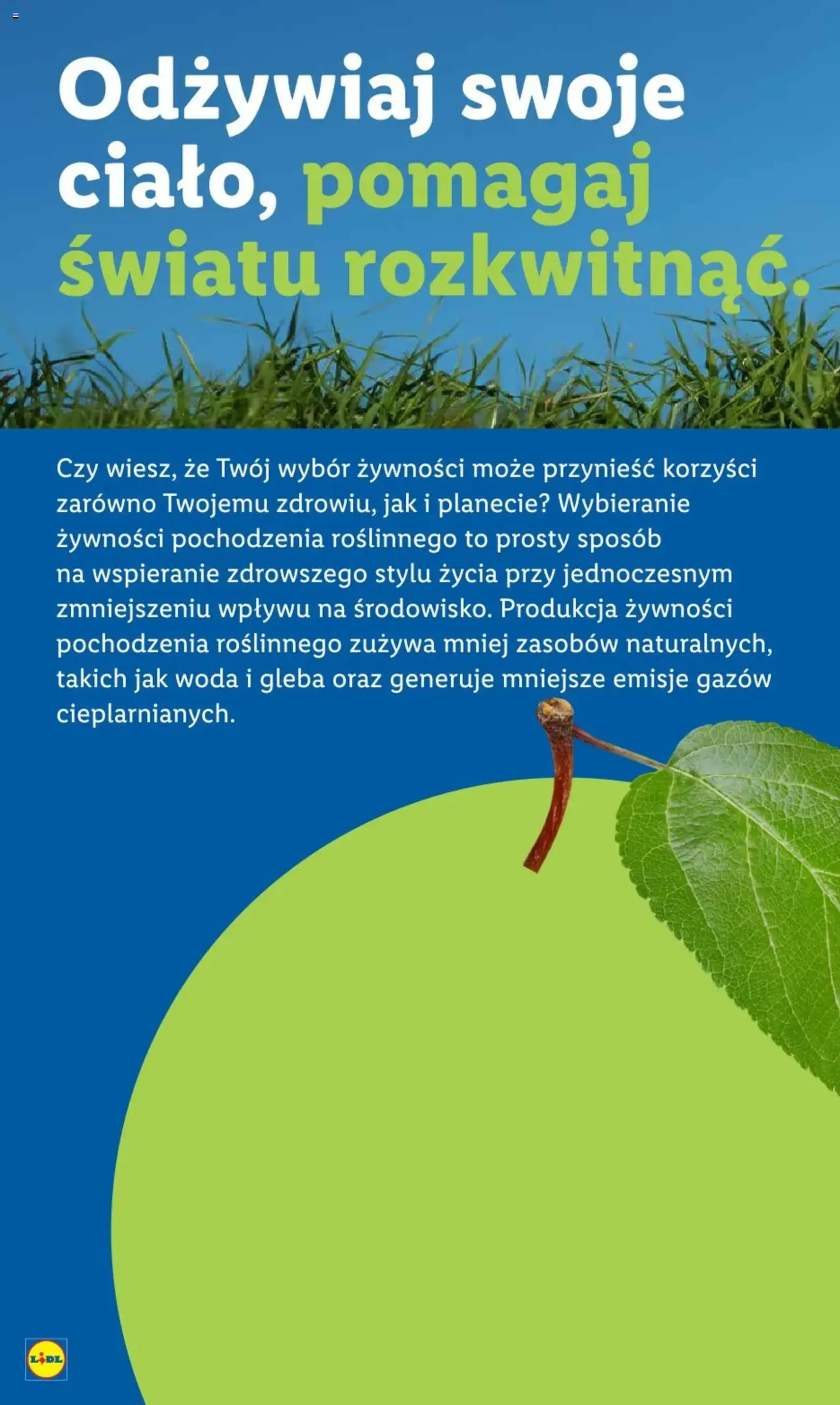 Lidl Gazetka - ważny gazetka od 25.08.2025 strona 64 z 68 Lidl Gazetka - ważny gazetka od 25.08.2025 strona 64 z 68