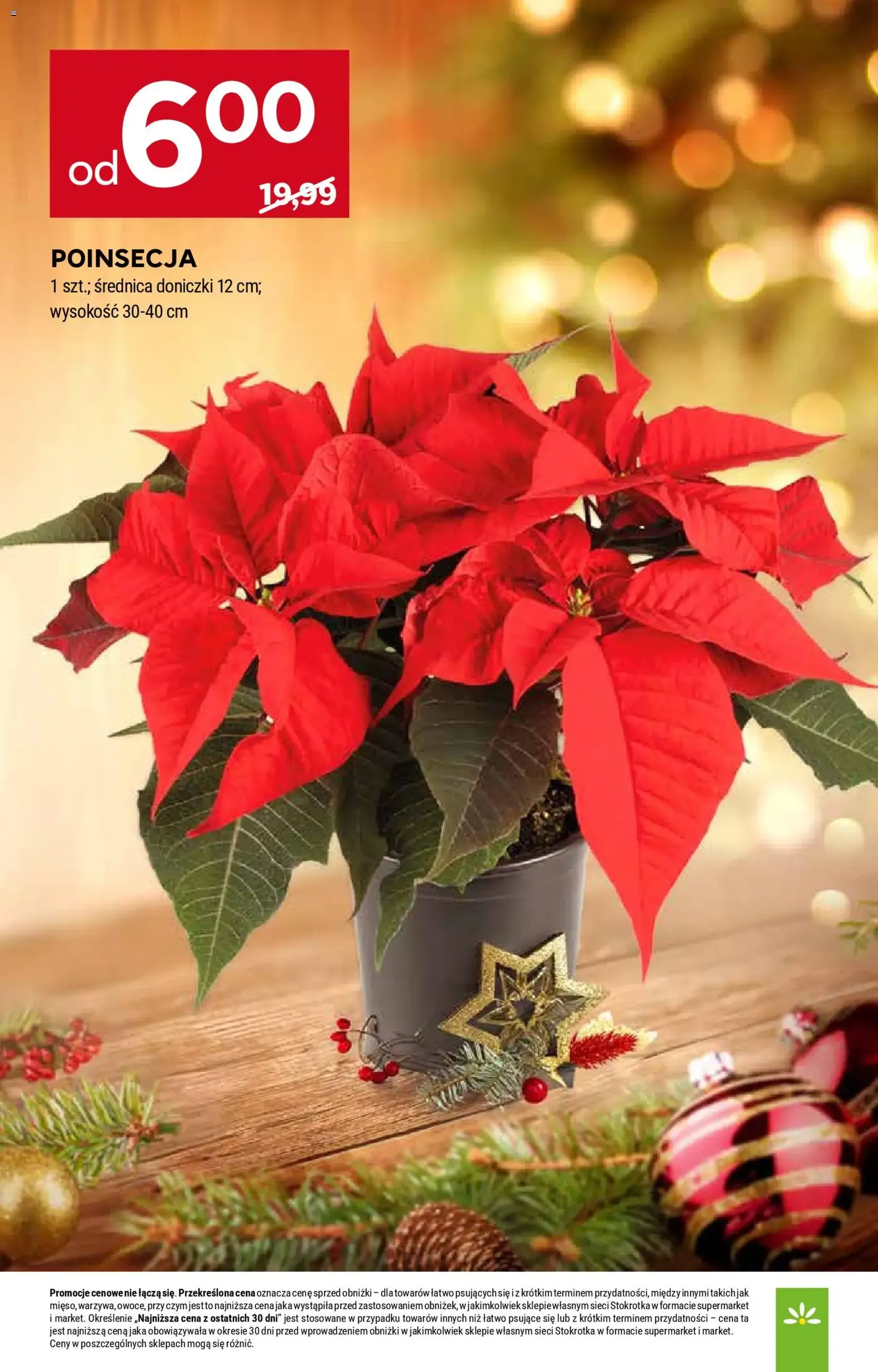 Stokrotka Gazetka - ważny gazetka od 18.12.2025 strona 49 z 51