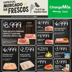 Vista previa del folleto Punto Mayorista catálogo válido desde 09/09/2025