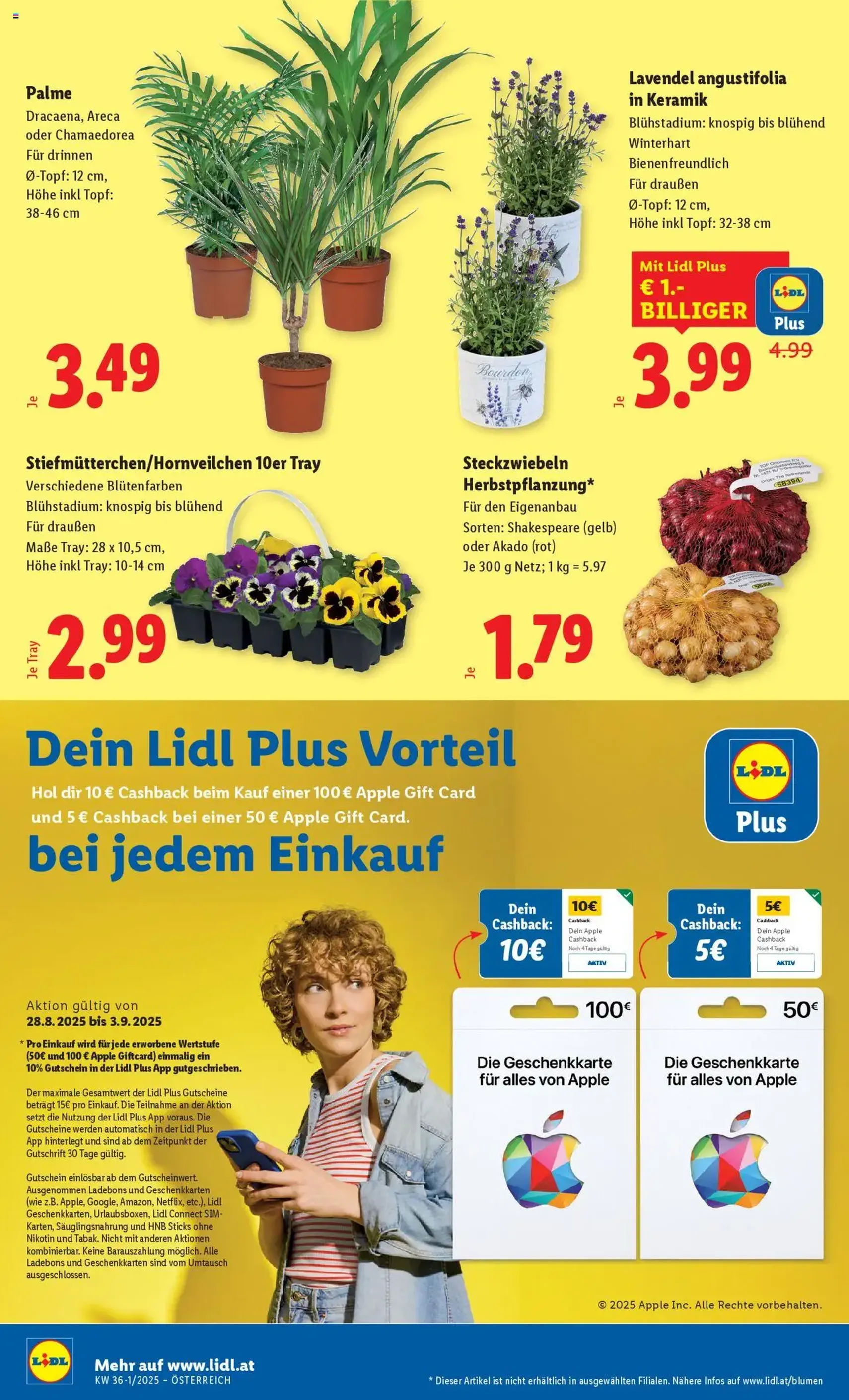 Lidl Flugblatt - Gültiger Prospekt ab 28.08.2025, Seite 26 von insgesamt 48 Lidl Flugblatt - Gültiger Prospekt ab 28.08.2025, Seite 26 von insgesamt 48