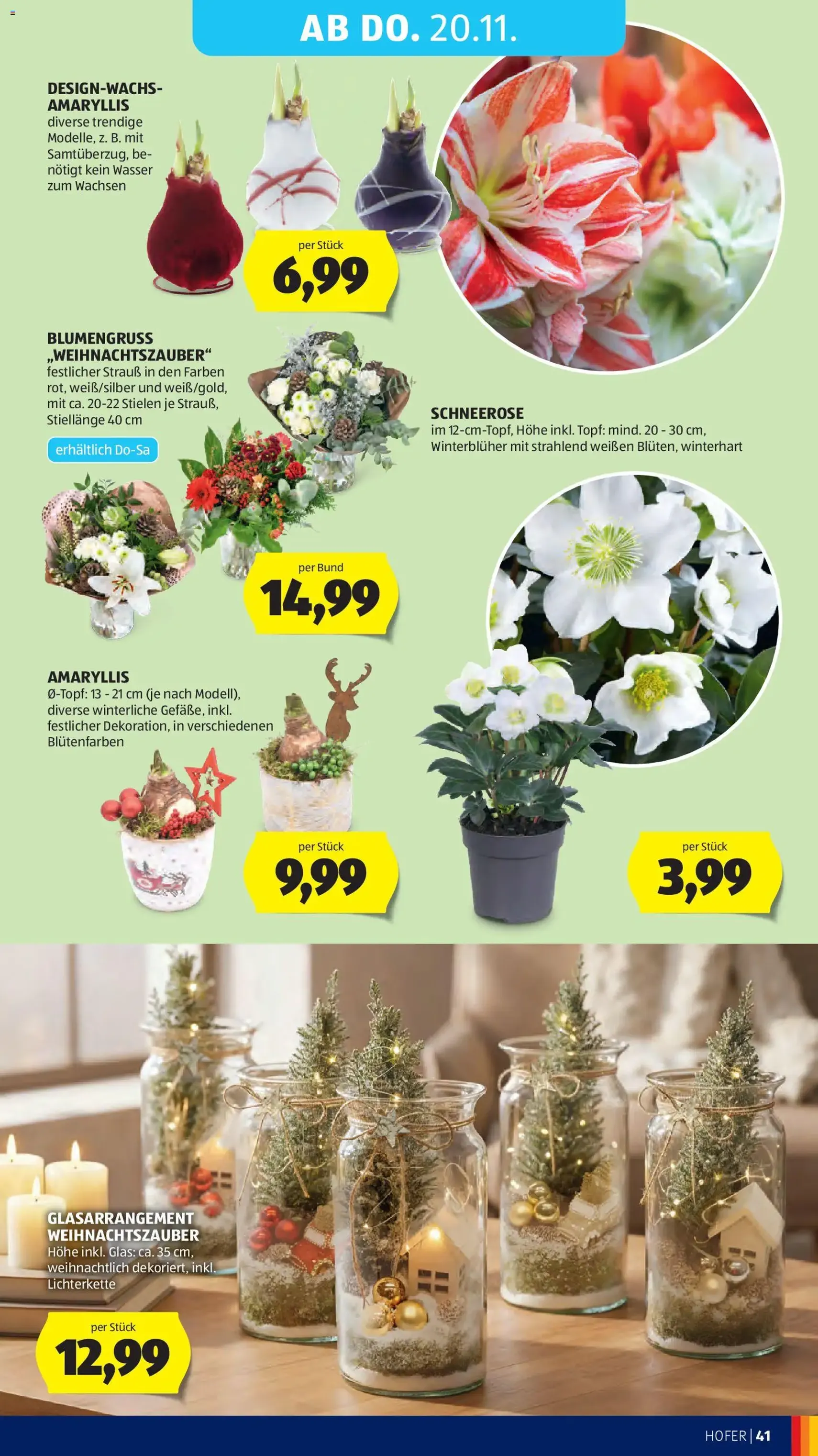 Hofer - Black Friday - Gültiger Prospekt ab 14.11.2025, Seite 49 von insgesamt 53