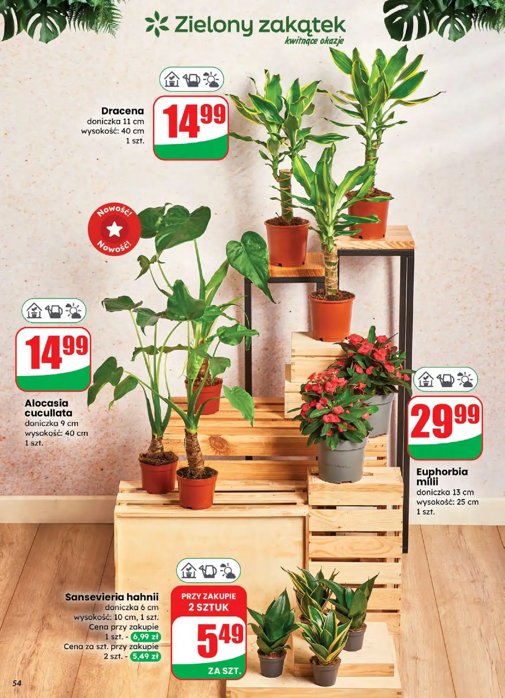 Dino Gazetka - ważny gazetka od 05.11.2025 strona 54 z 68