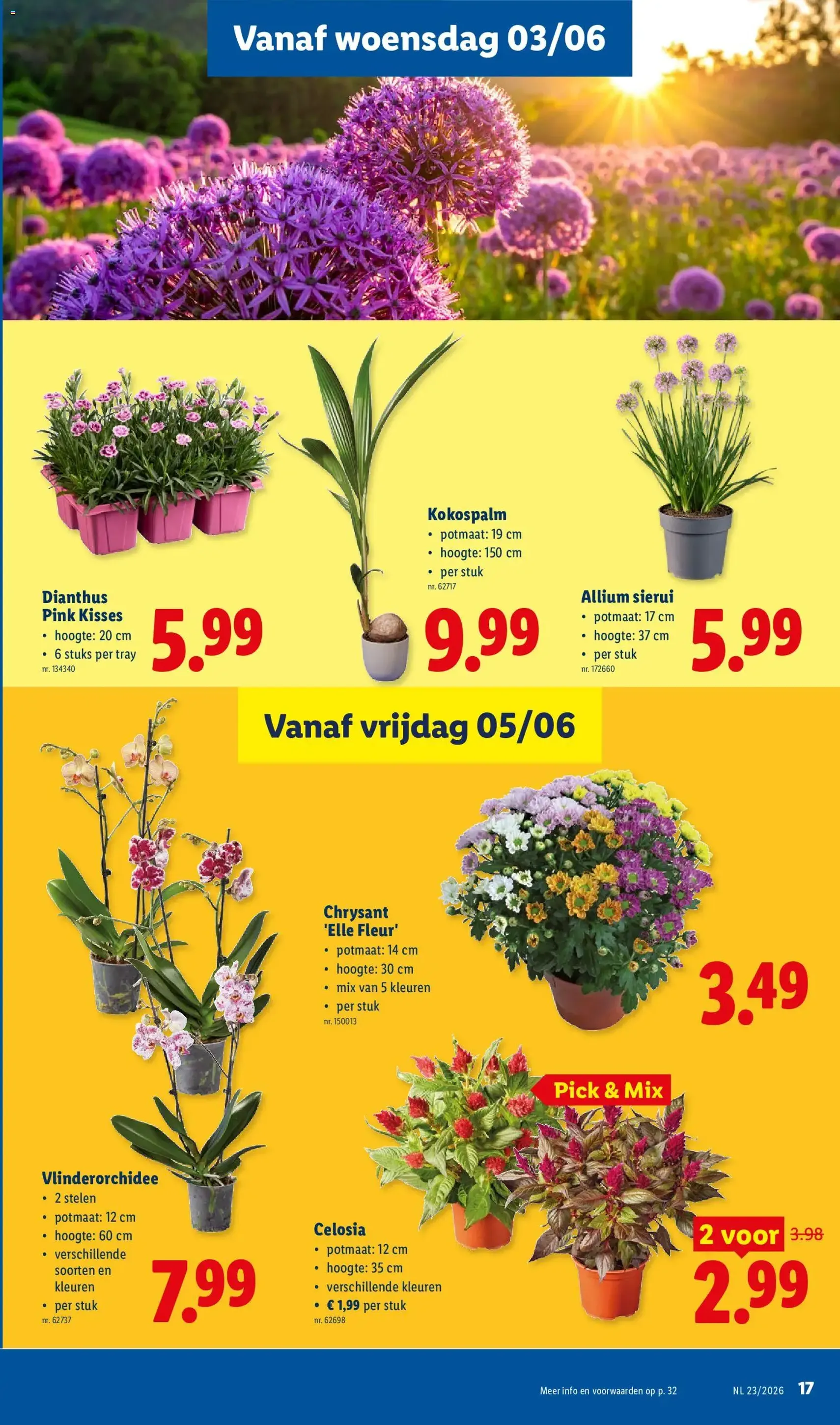 Lidl Folder week 23 - geldige folder vanaf 01/06/2026 pagina 17 van 32