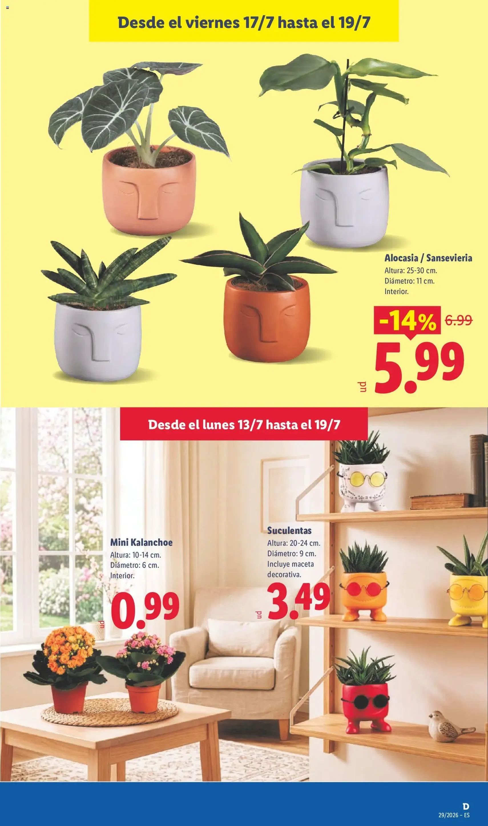 Lidl folleto - folleto válido desde 13/07/2026 página 59 de 61
