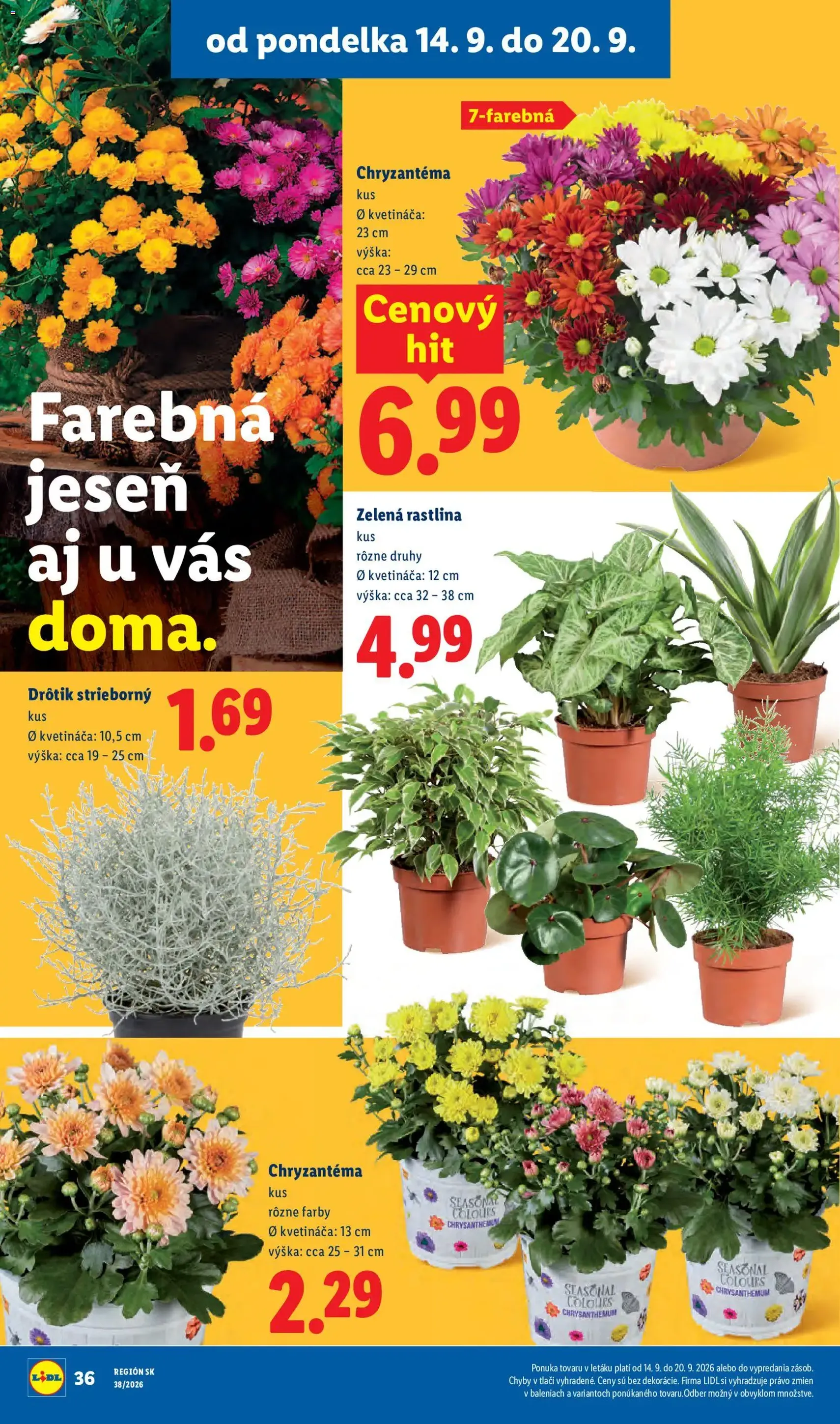 Lidl leták - platný leták od 14.09.2026 strana 50 z 105