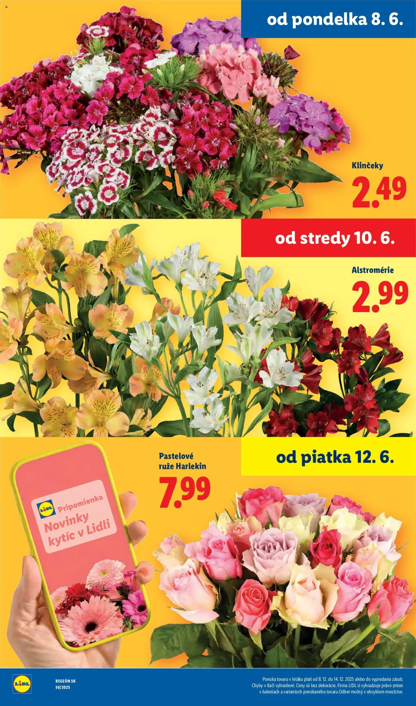 Lidl leták - platný leták od 08.06.2026 strana 45 z 99