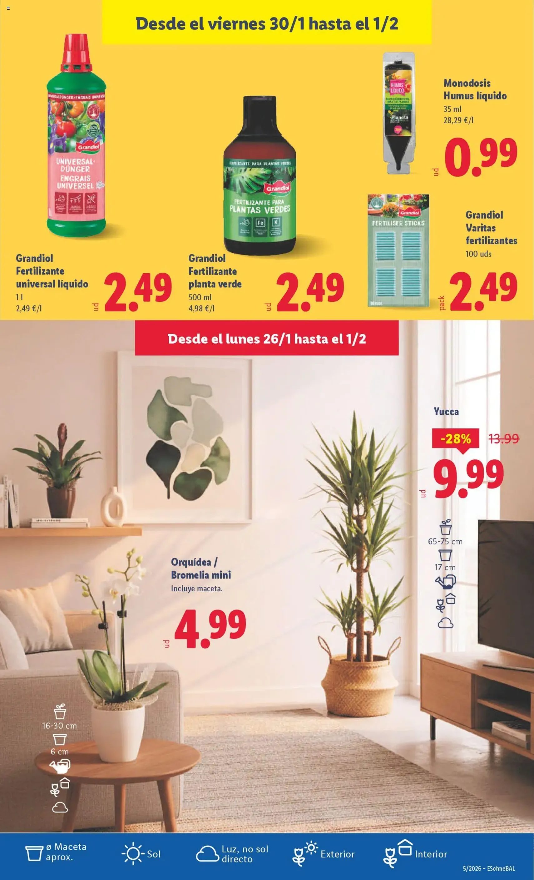 Lidl folleto - folleto válido desde 26/01/2026 página 41 de 41