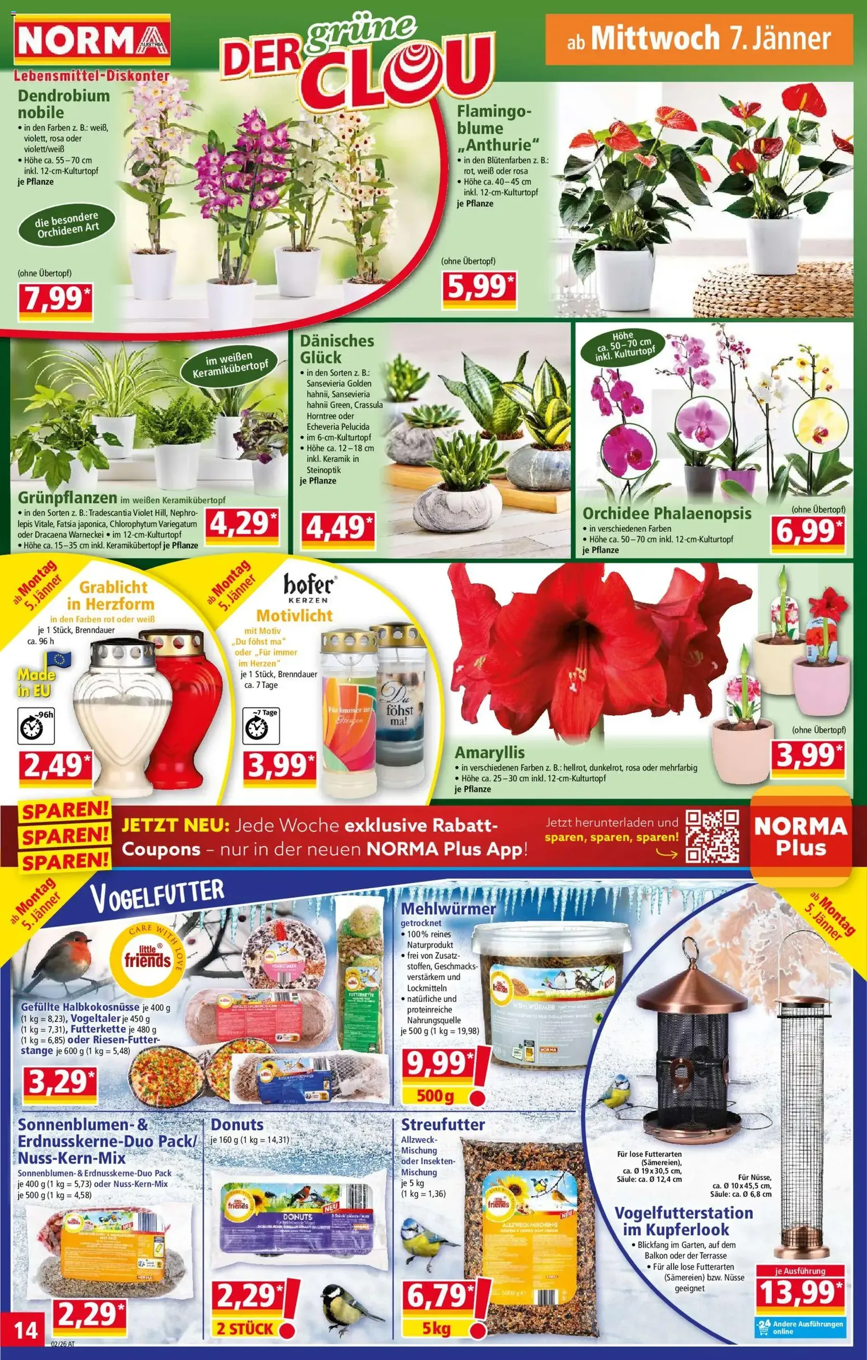 Norma Flugblatt - Gültiger Prospekt ab 05.01.2025, Seite 14 von insgesamt 20