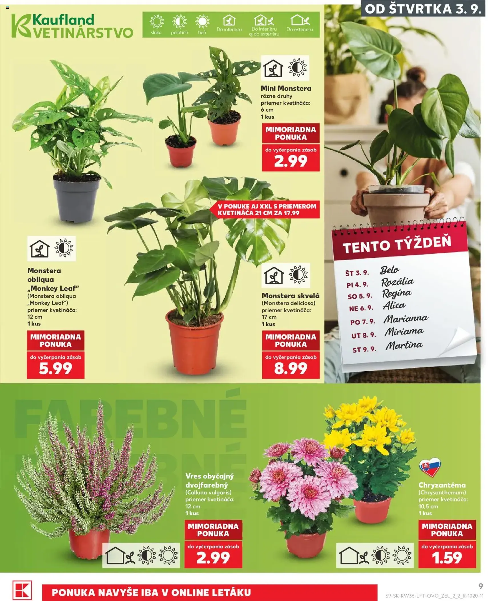 Kaufland leták - platný leták od 03.09.2026 strana 9 z 80