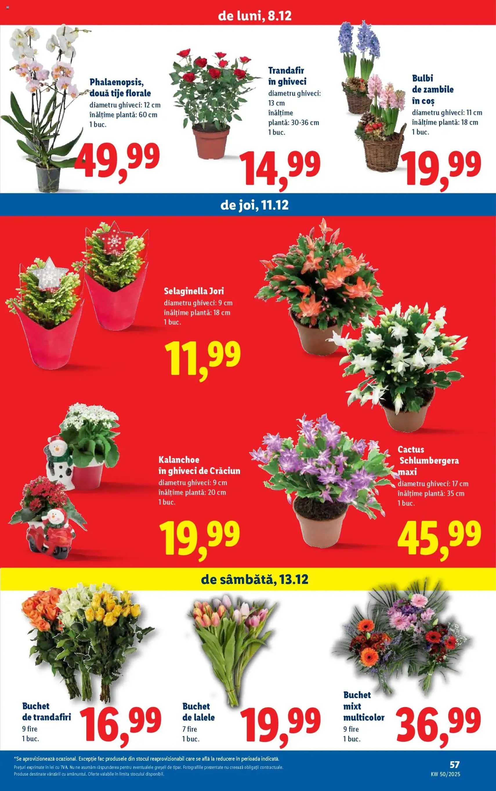 Catalog Lidl - cataloage valabile începând cu 08.12.2025 pagina 57 din 86