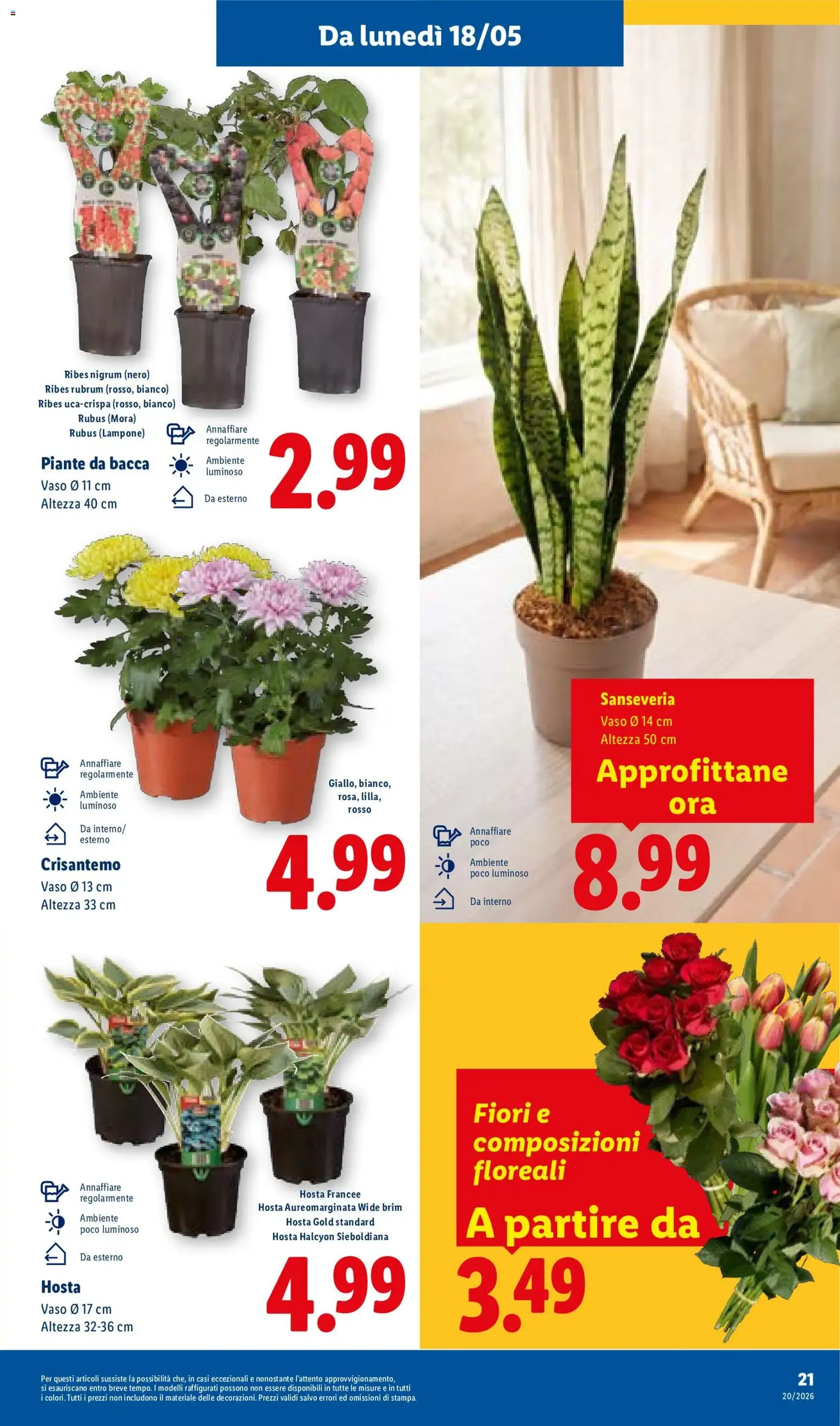 Lidl volantino - volantino valido dal 14/05/2026 pagina 29 di 50
