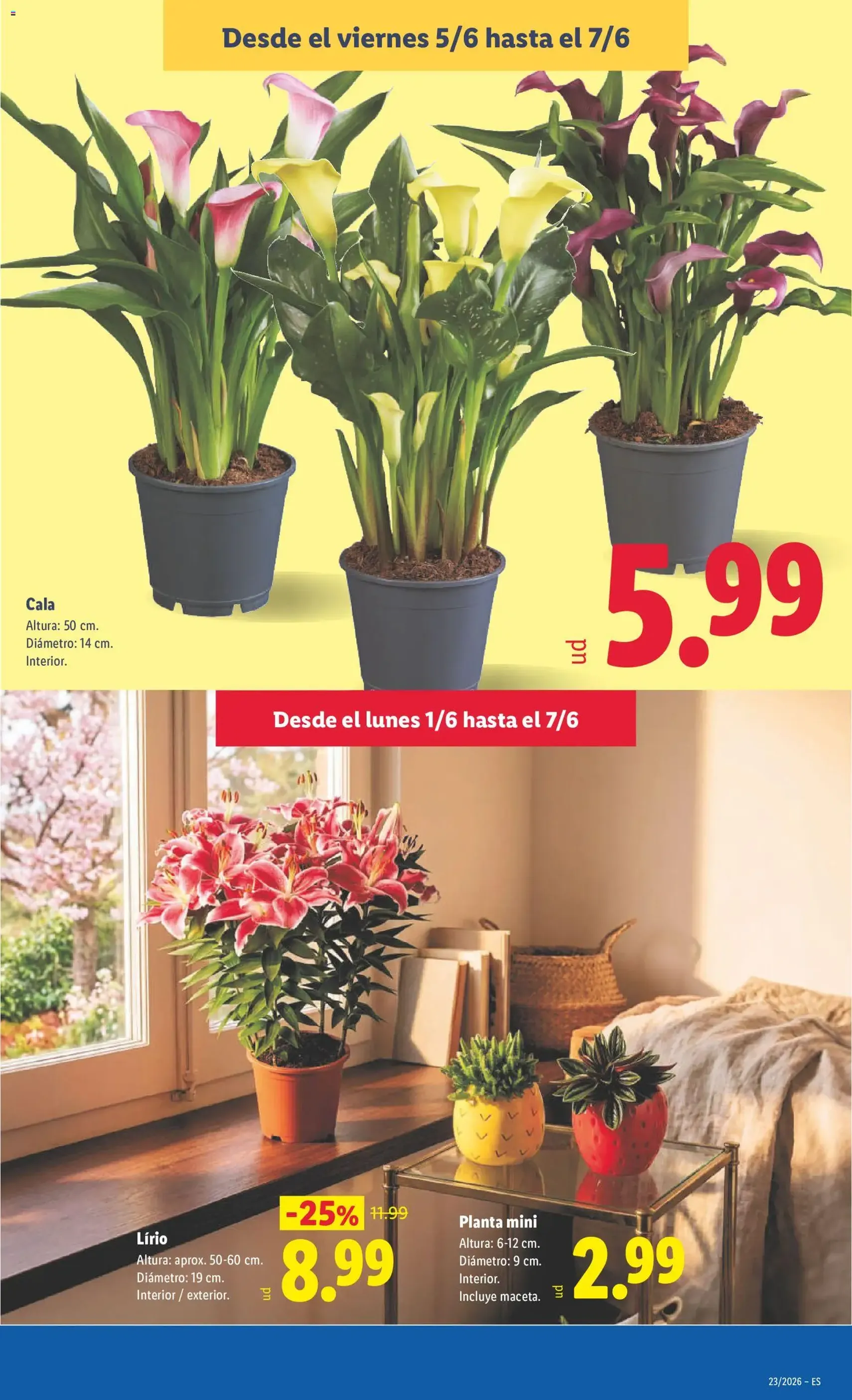 Lidl folleto - folleto válido desde 01/06/2026 página 43 de 45