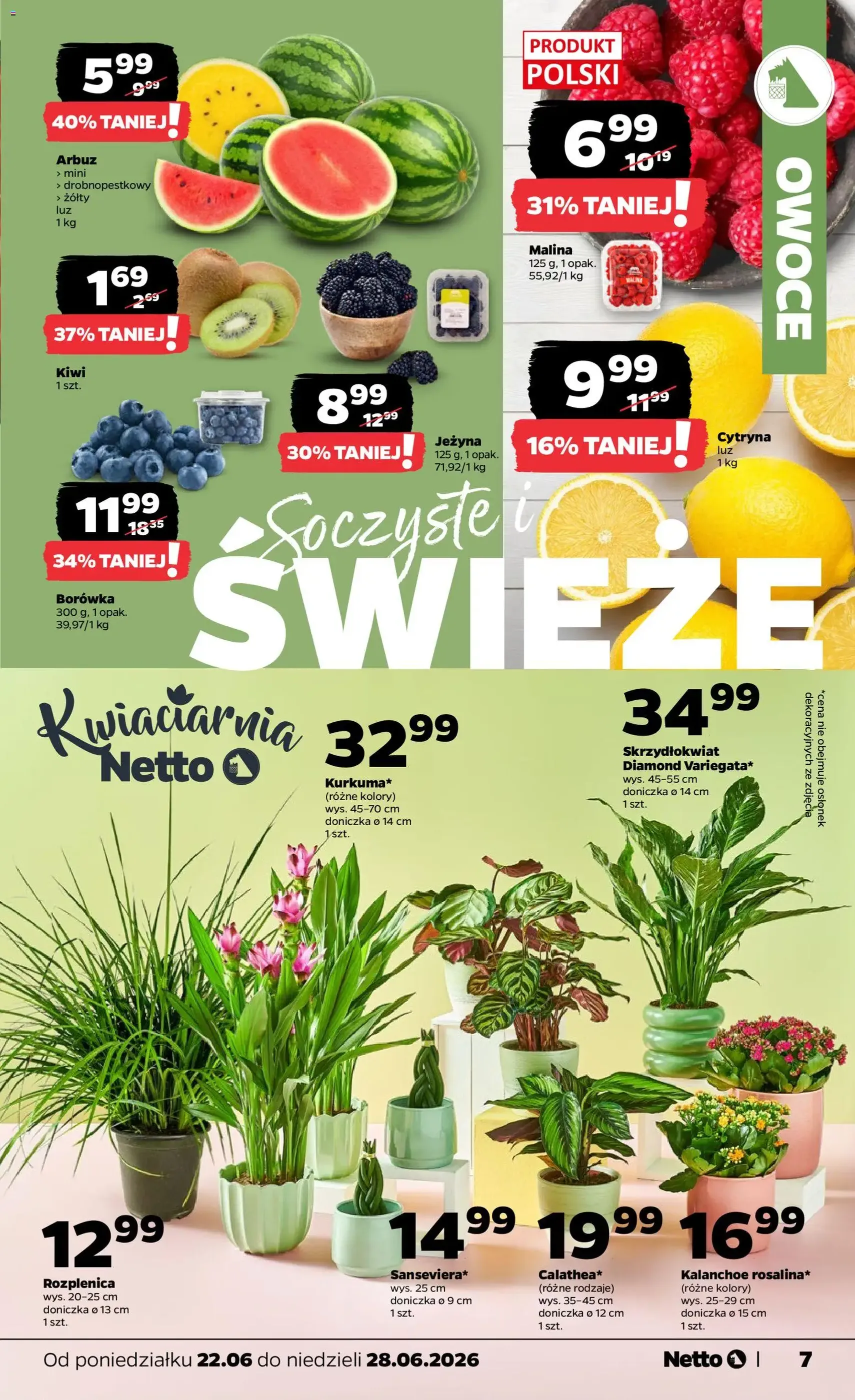 Netto gazetka od poniedziałku spożywcza - ważny gazetka od 22.06.2026 strona 7 z 35