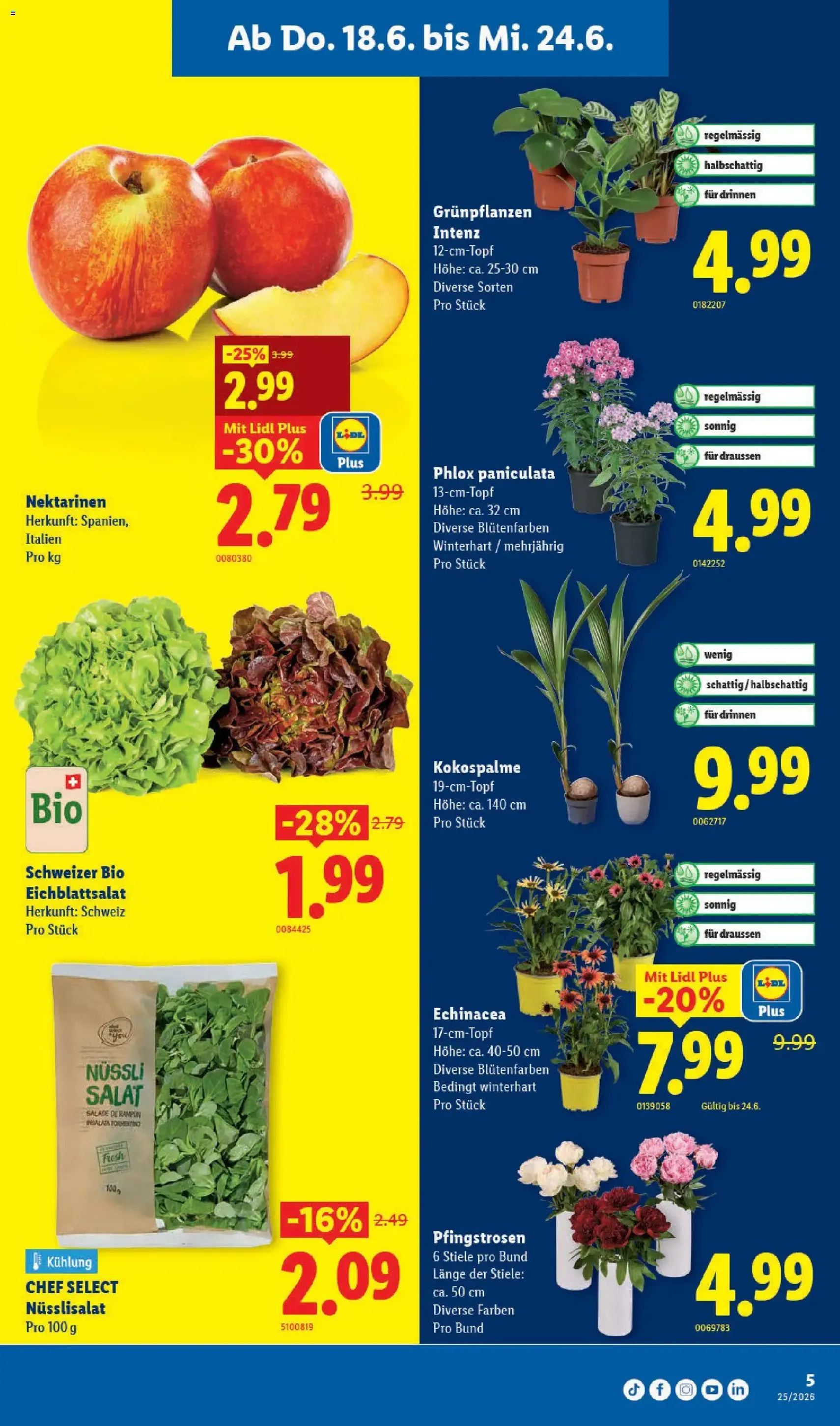 Lidl aktionen - Gültiger Prospekt ab 18.06.2026, Seite 5 von insgesamt 30