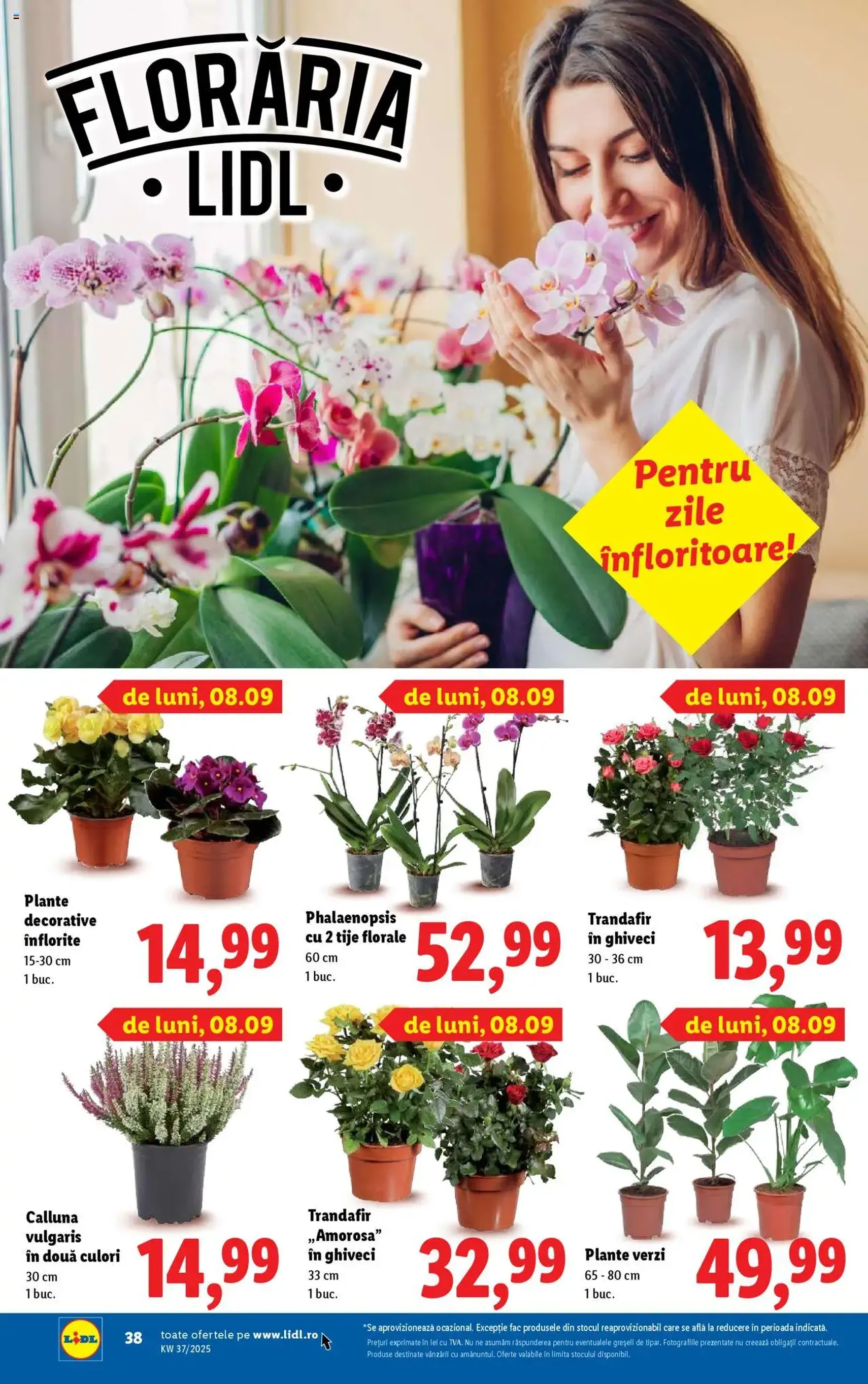 Catalog Lidl - cataloage valabile începând cu 08.09.2025 pagina 38 din 68 Catalog Lidl - cataloage valabile începând cu 08.09.2025 pagina 38 din 68