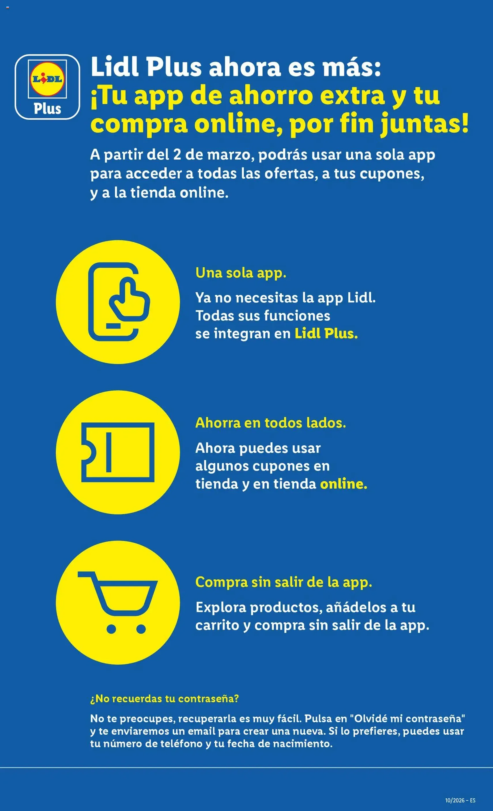 Lidl folleto - folleto válido desde 02/03/2026 página 31 de 53