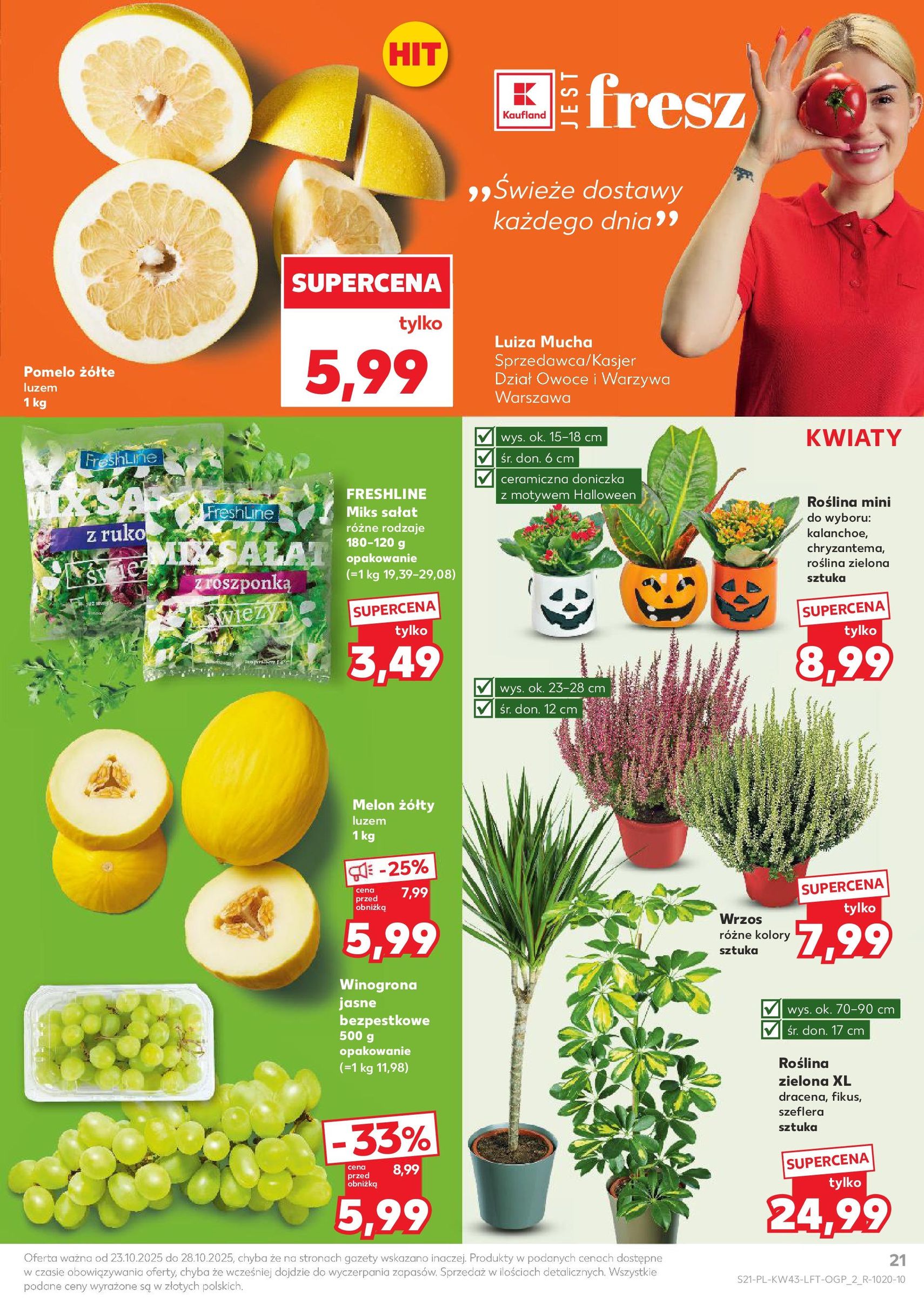 Kaufland gazetka - ważny gazetka od 23.10.2025 strona 21 z 67 Kaufland gazetka - ważny gazetka od 23.10.2025 strona 21 z 67