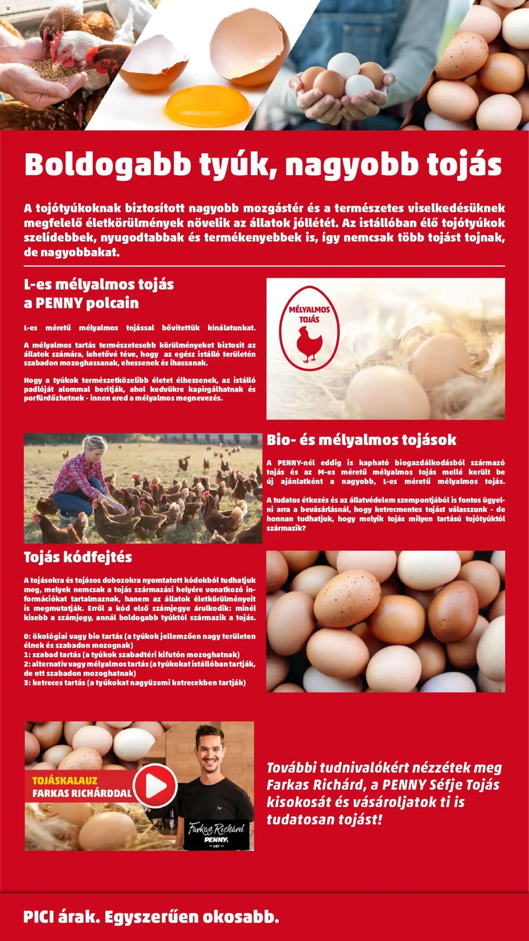 PENNY Black Friday - 2025.11.20. érvényes szórólap 42 oldal 44 oldalból