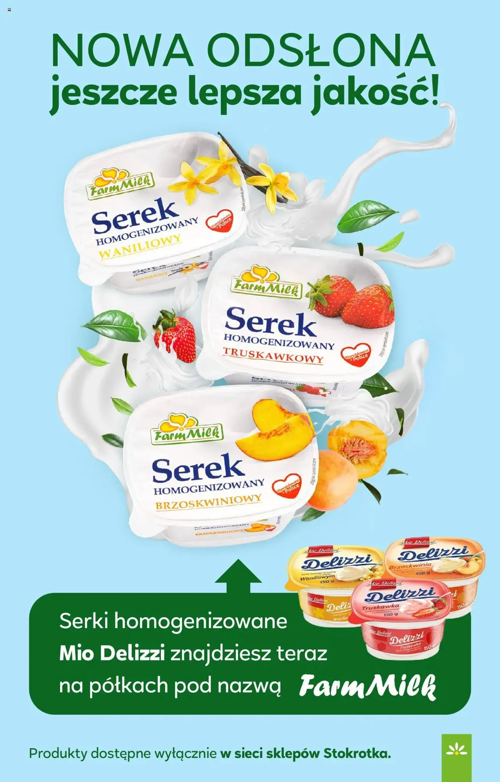 Stokrotka Gazetka - ważny gazetka od 13.08.2025 strona 16 z 40