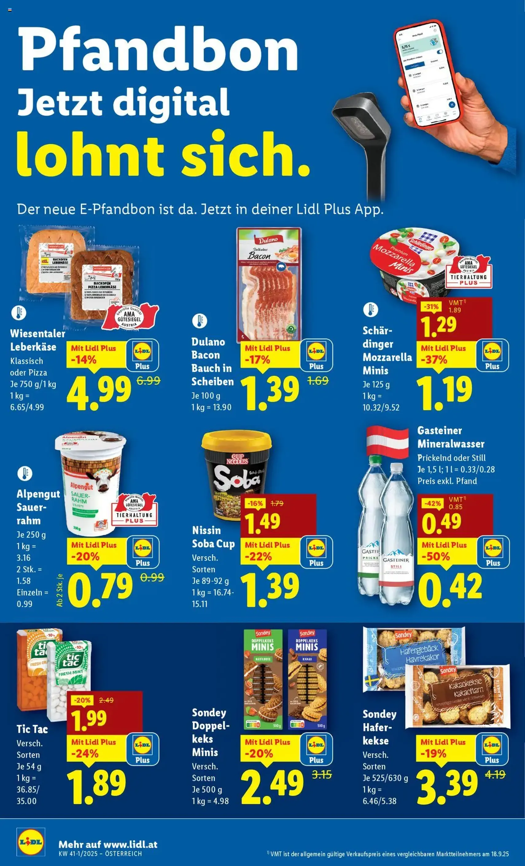 Lidl - Flugblatt - Gültiger Prospekt ab 02.10.2025, Seite 38 von insgesamt 45