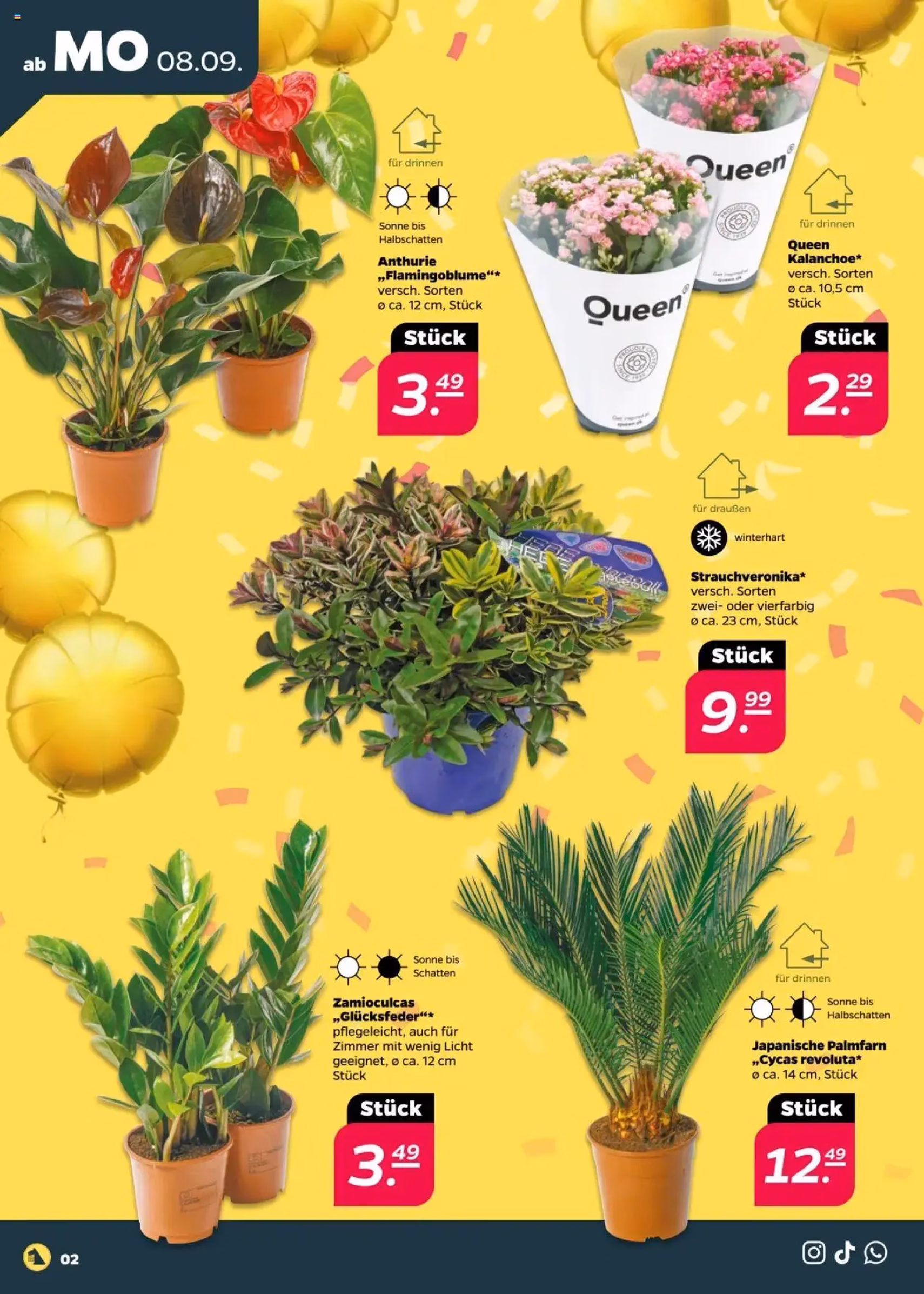 Netto Prospekt - Gültiger Prospekt ab 07.09.2025, Seite 2 von insgesamt 44